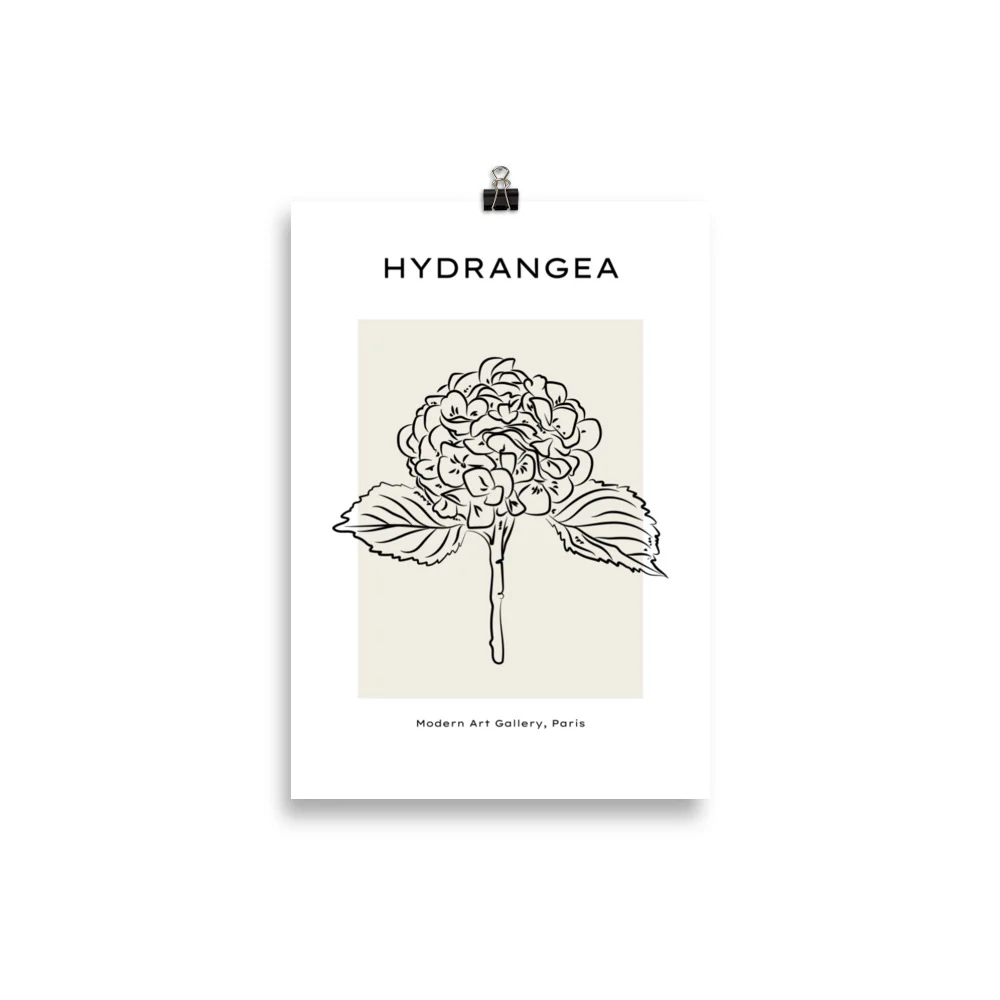 Hydrangea - Image 2