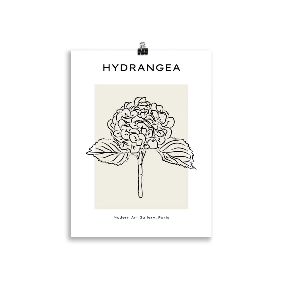 Hydrangea - Image 3