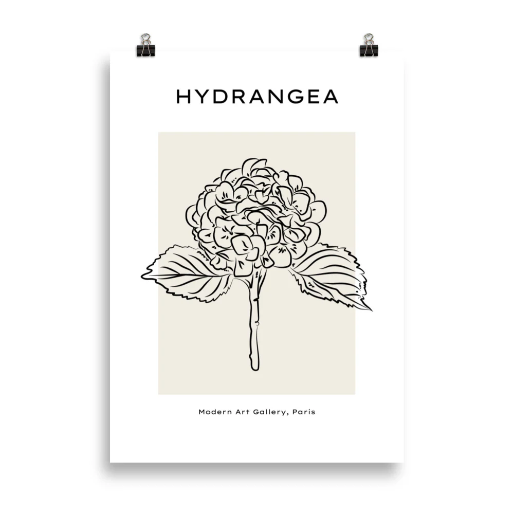 Hydrangea - Image 4