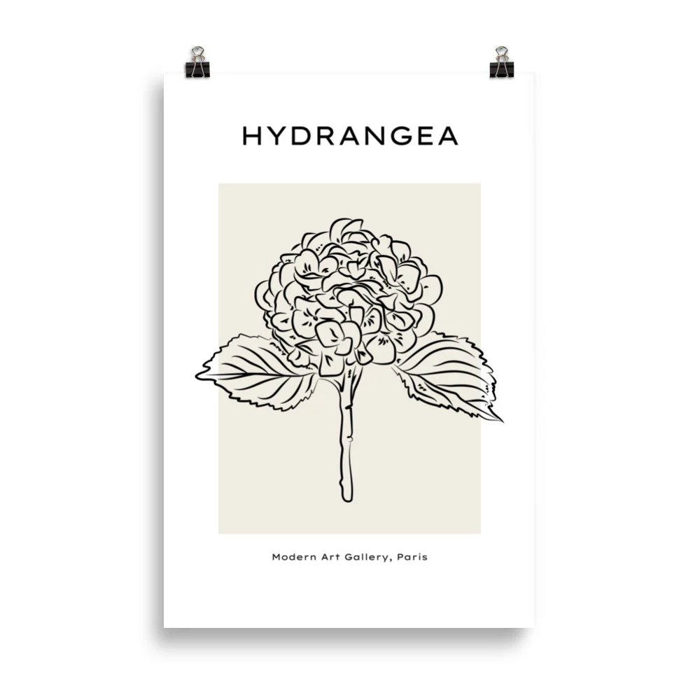 Hydrangea - Image 5