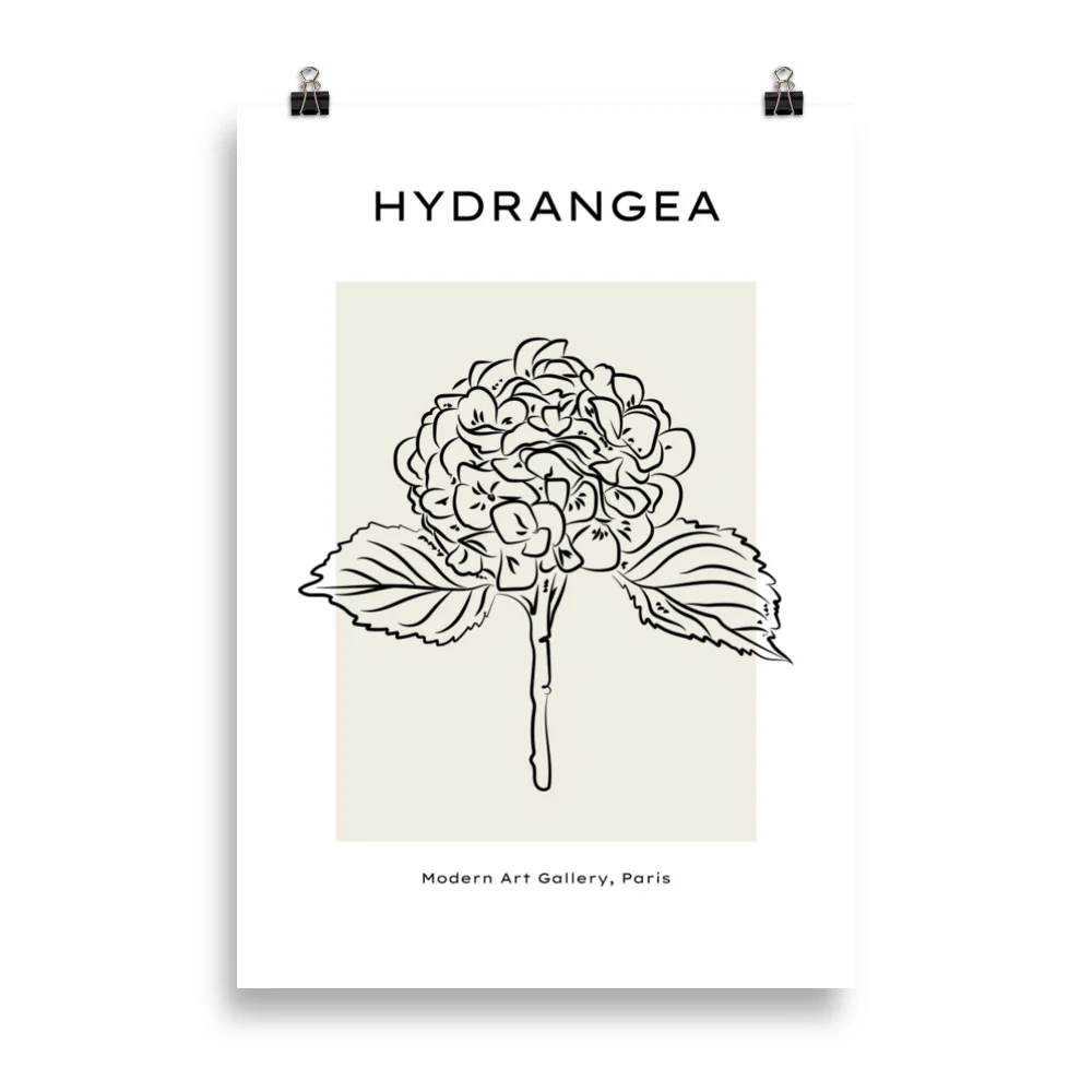 Hydrangea - Image 6