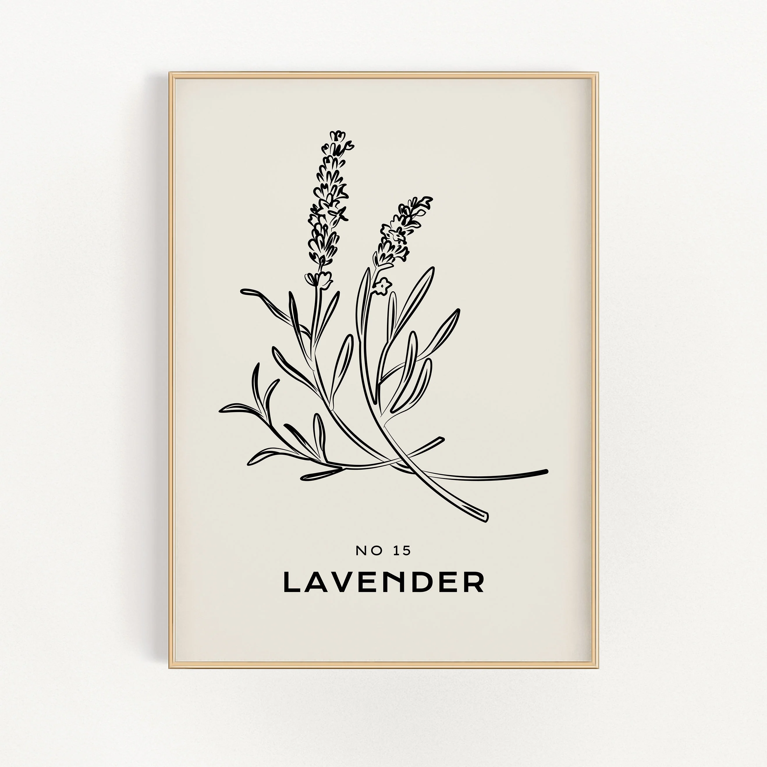 Lavender No. 15