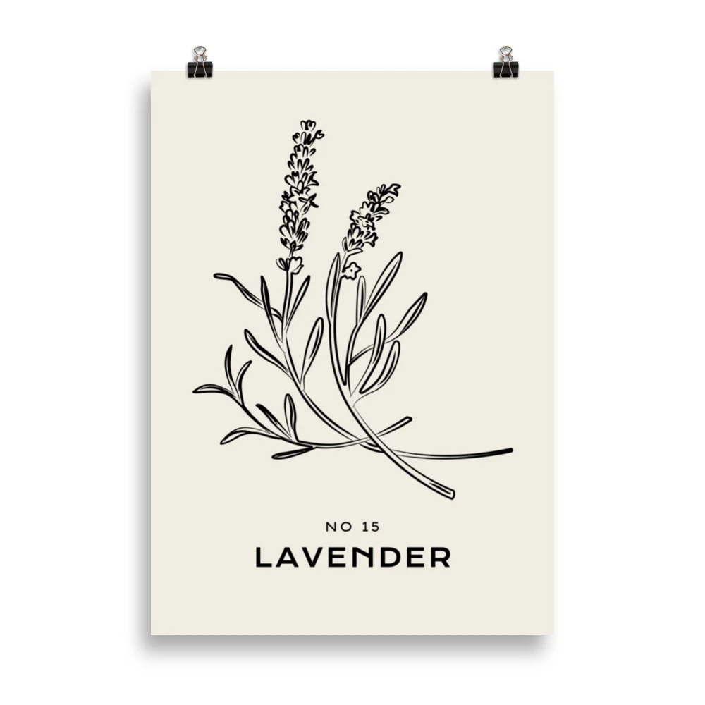 Lavender No. 15 - Image 4