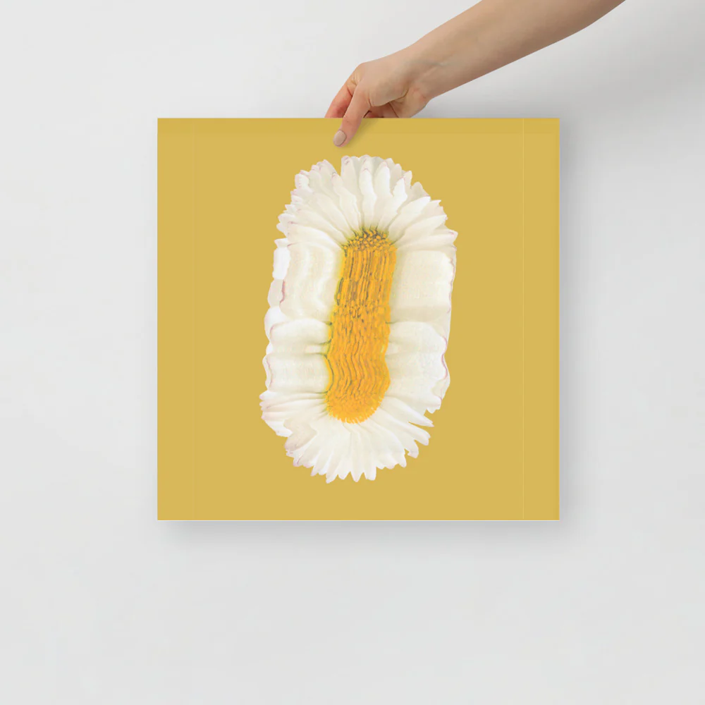 Lazy Daisy - Image 10
