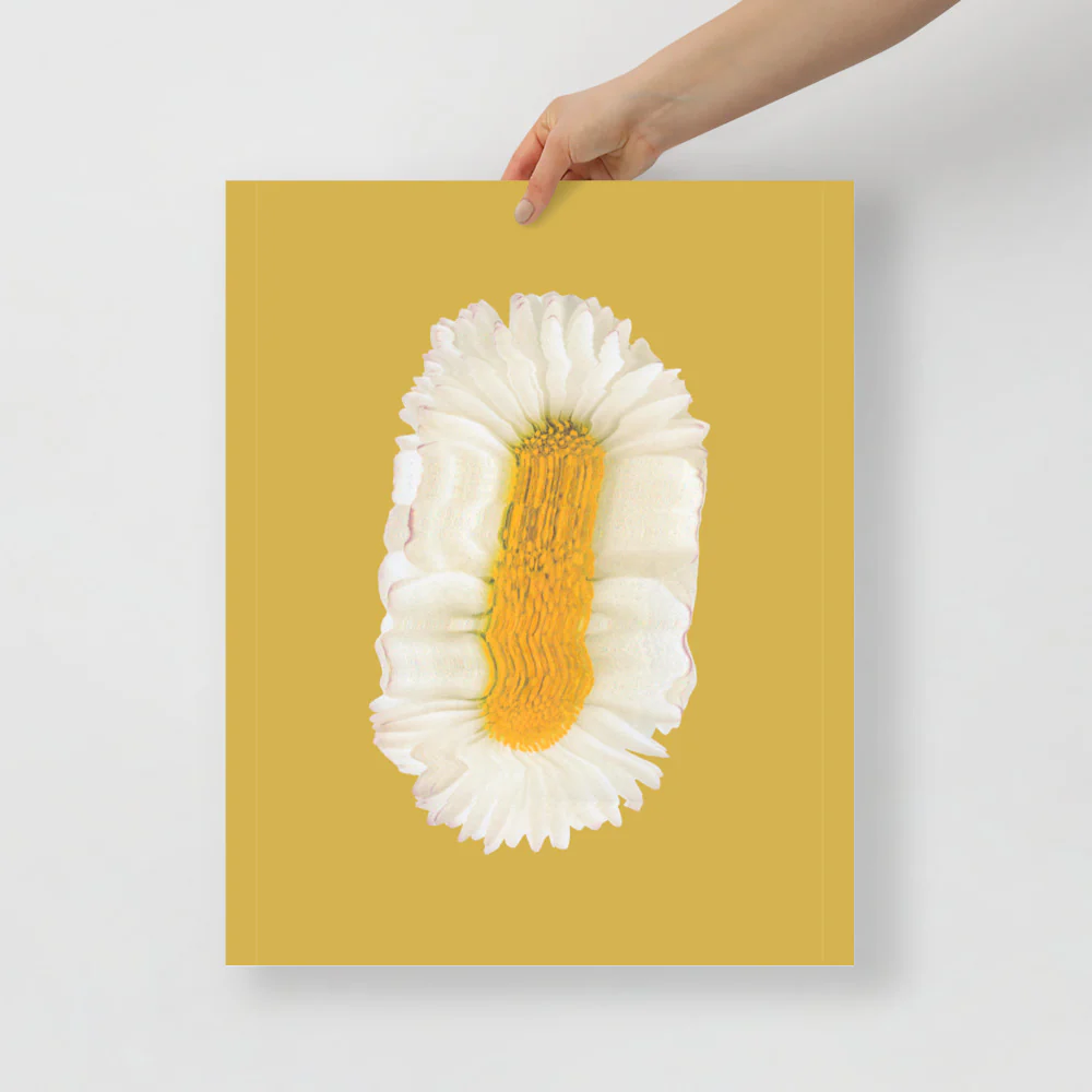 Lazy Daisy - Image 11