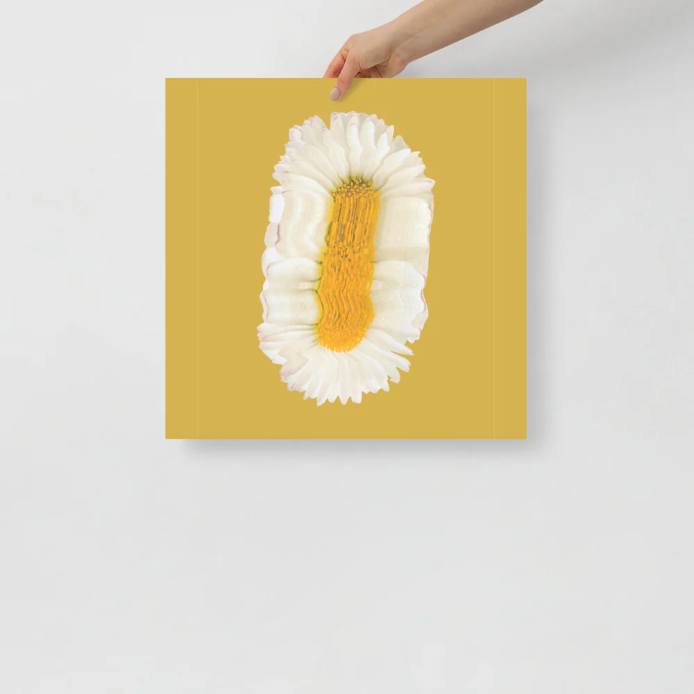 Lazy Daisy - Image 12