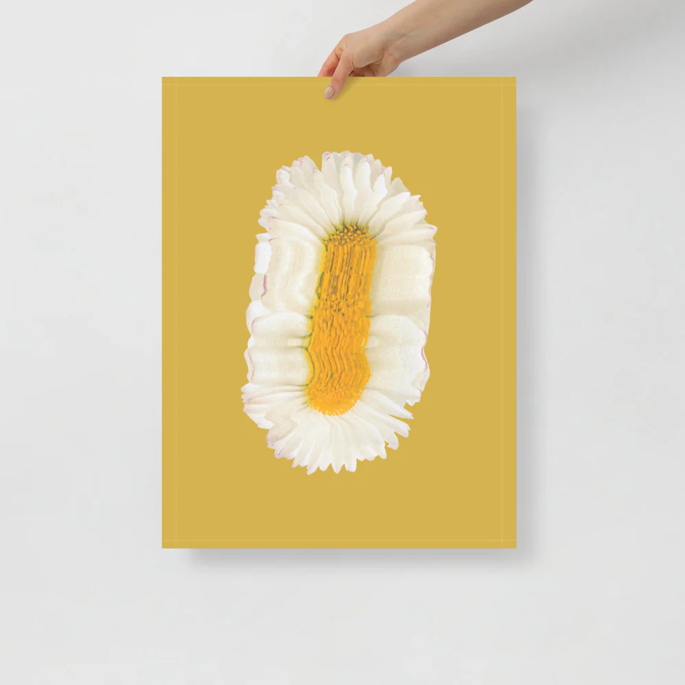 Lazy Daisy - Image 13
