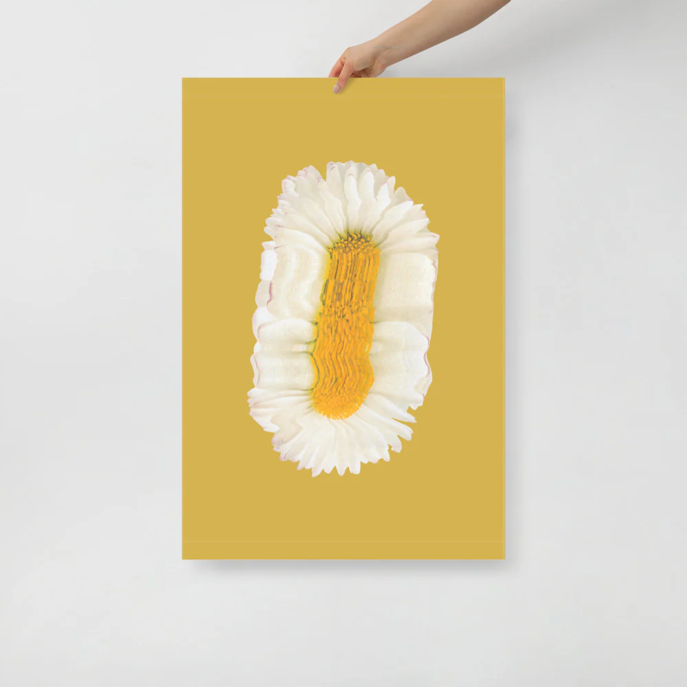 Lazy Daisy - Image 14