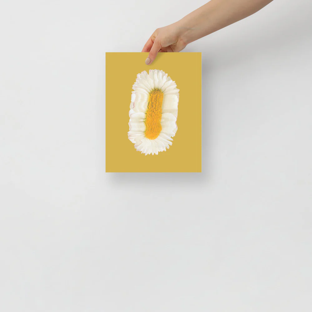 Lazy Daisy - Image 4