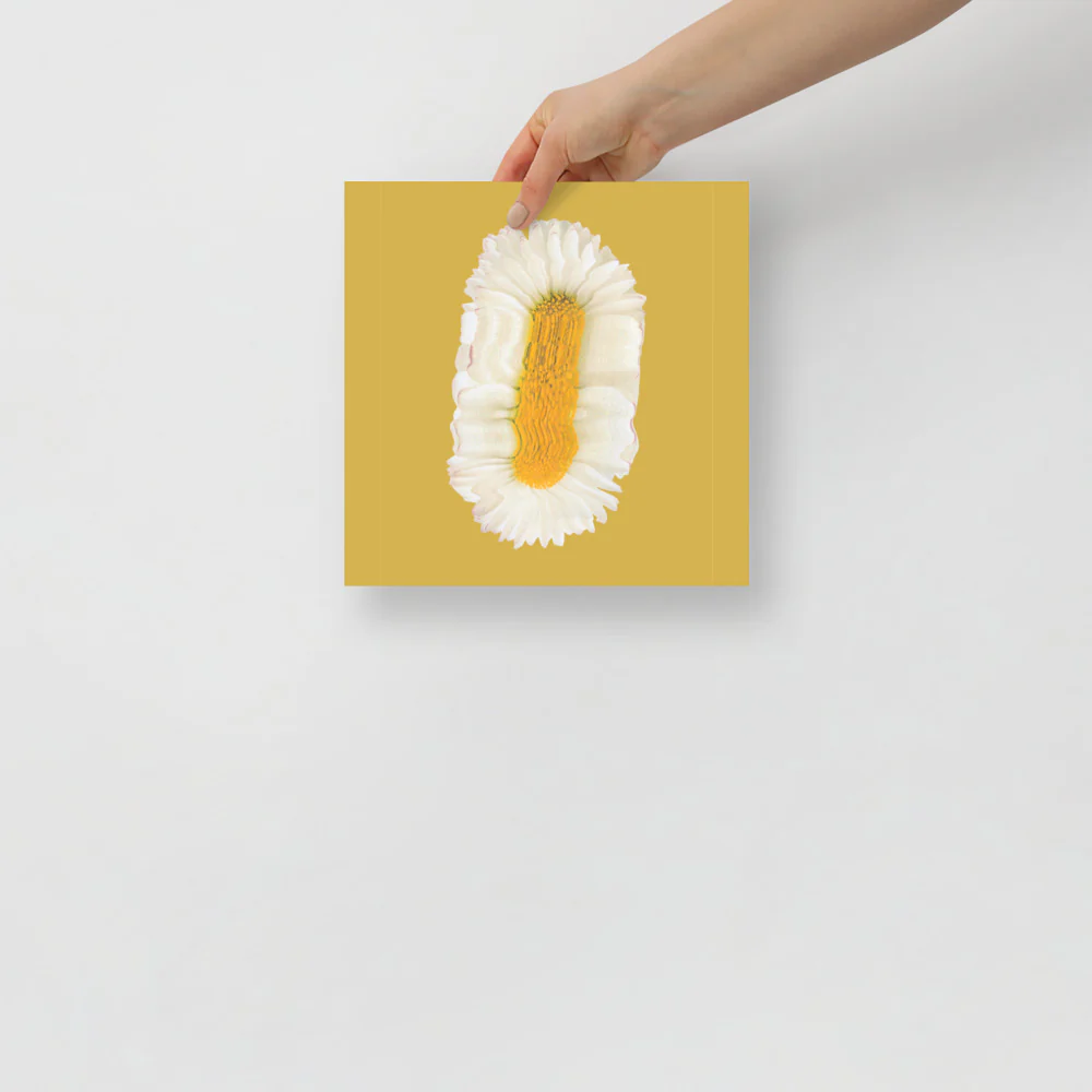 Lazy Daisy - Image 5