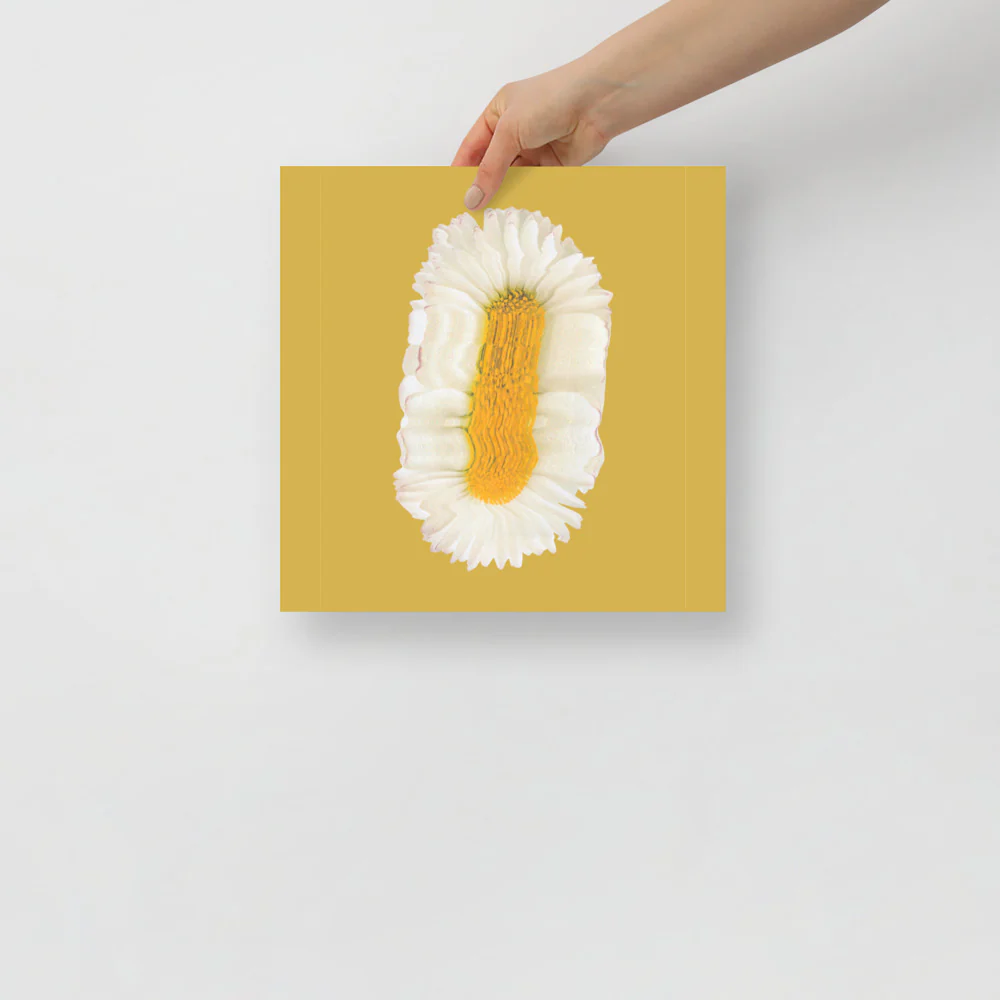 Lazy Daisy - Image 6