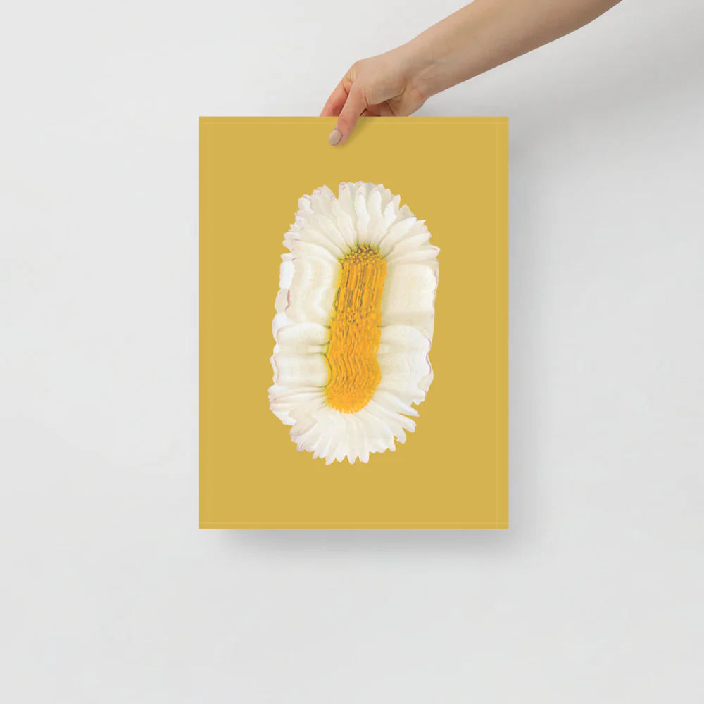 Lazy Daisy - Image 7
