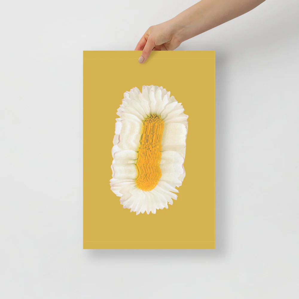 Lazy Daisy - Image 8