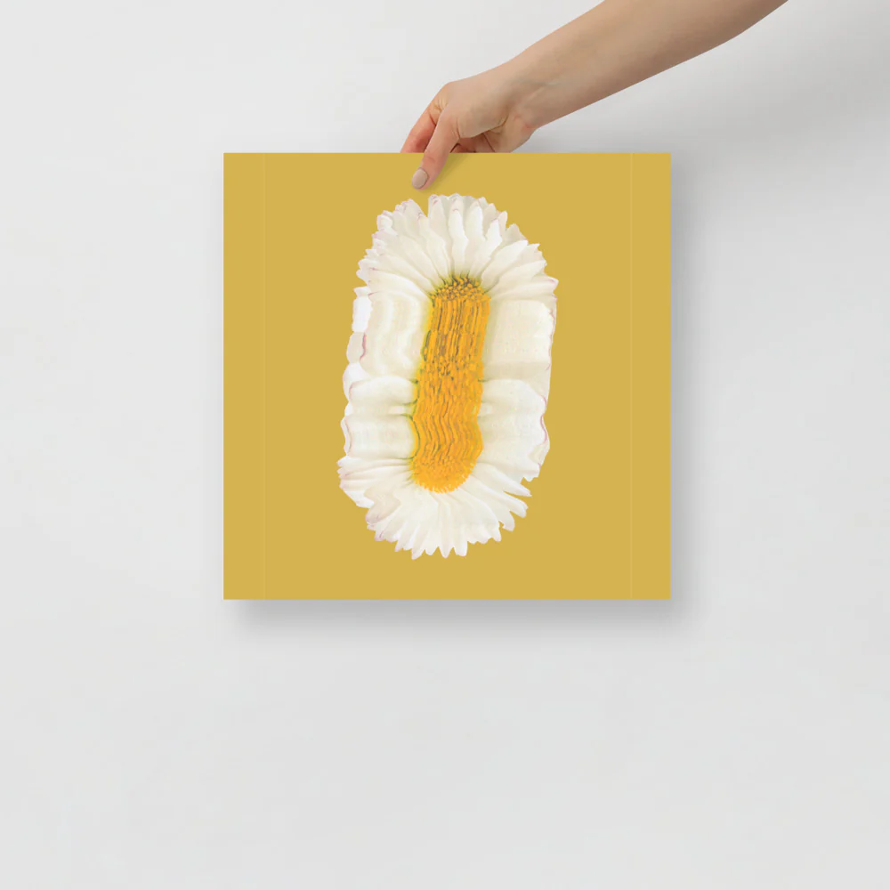 Lazy Daisy - Image 9