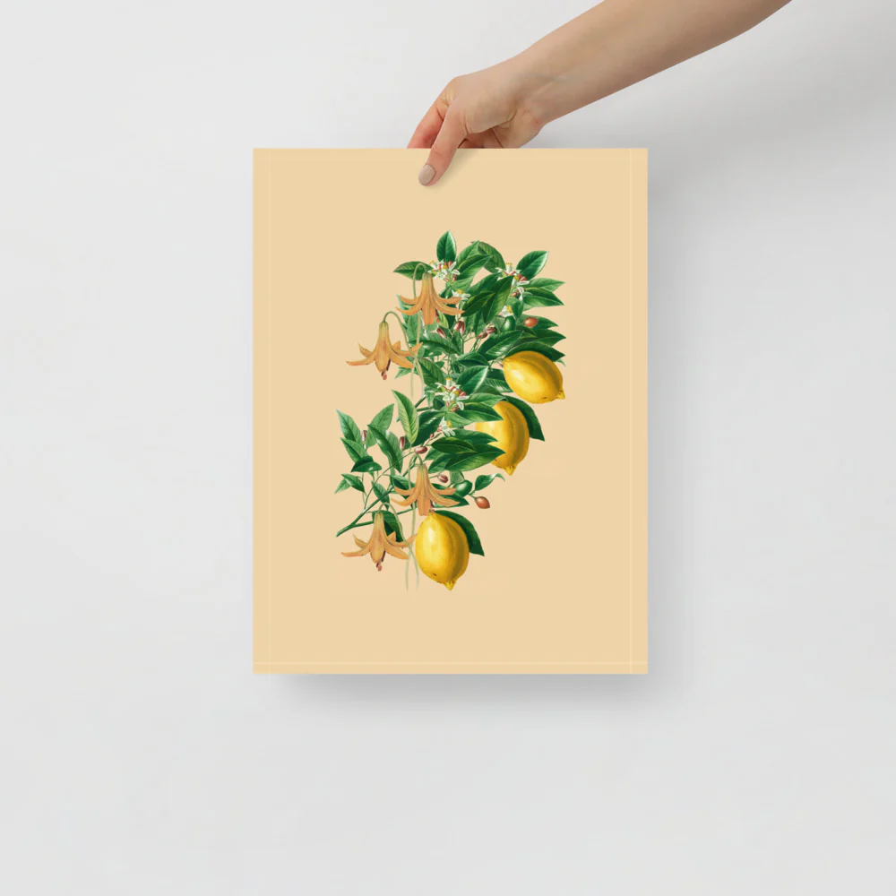 Lemon Farms In Italy - Image 3