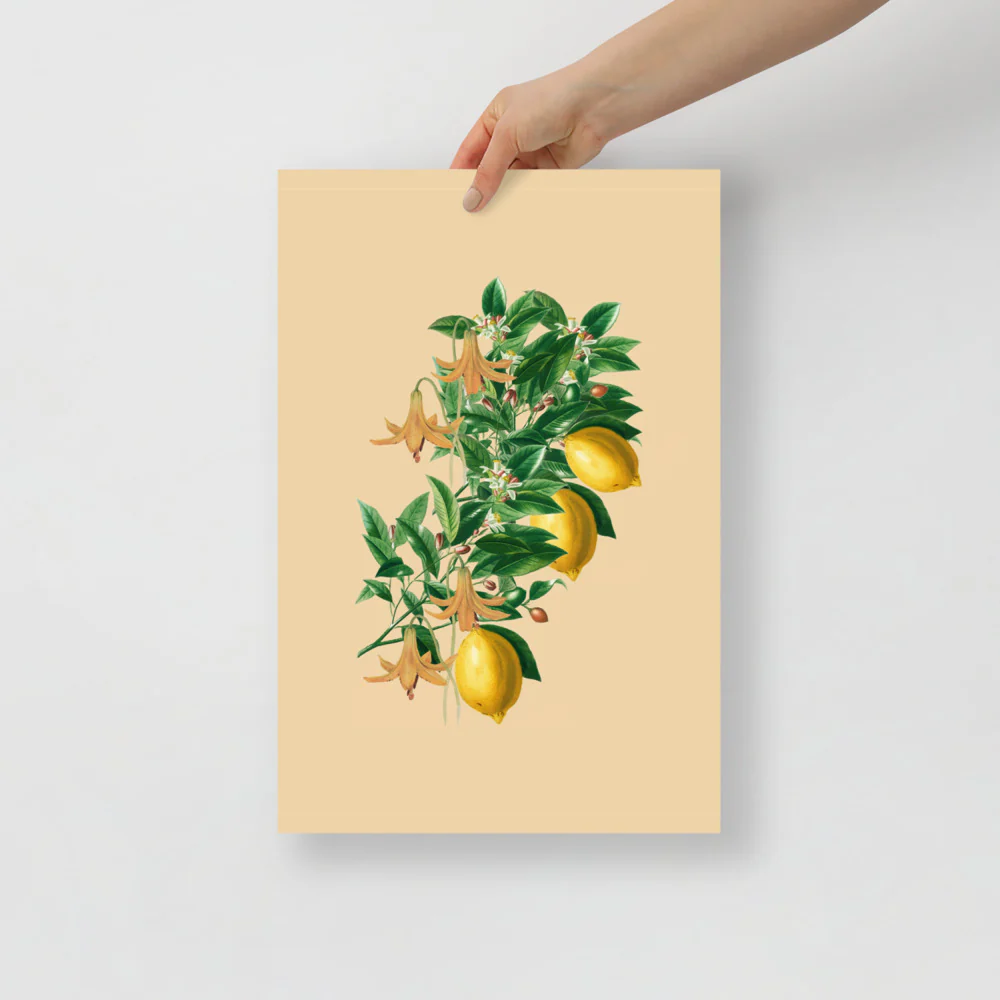 Lemon Farms In Italy - Image 4