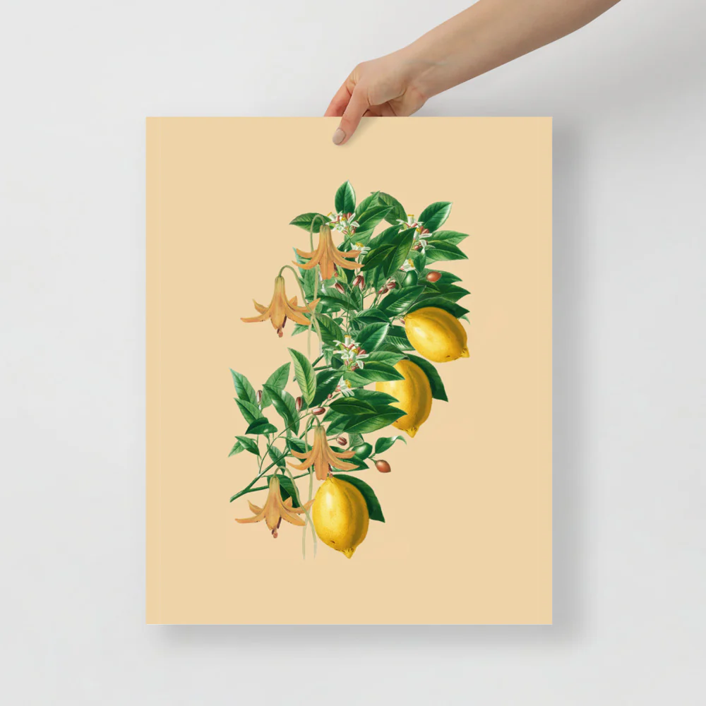 Lemon Farms In Italy - Image 5