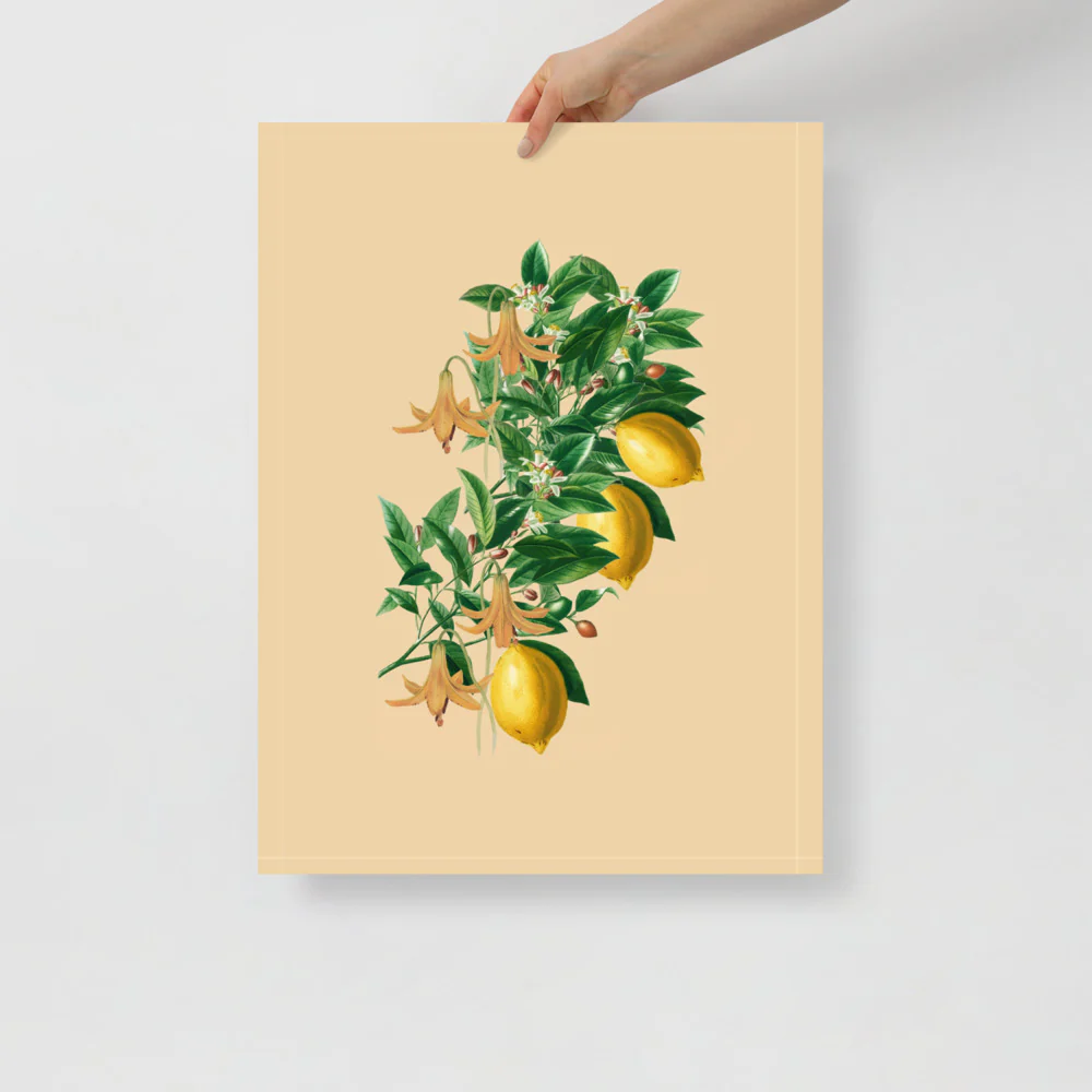 Lemon Farms In Italy - Image 6