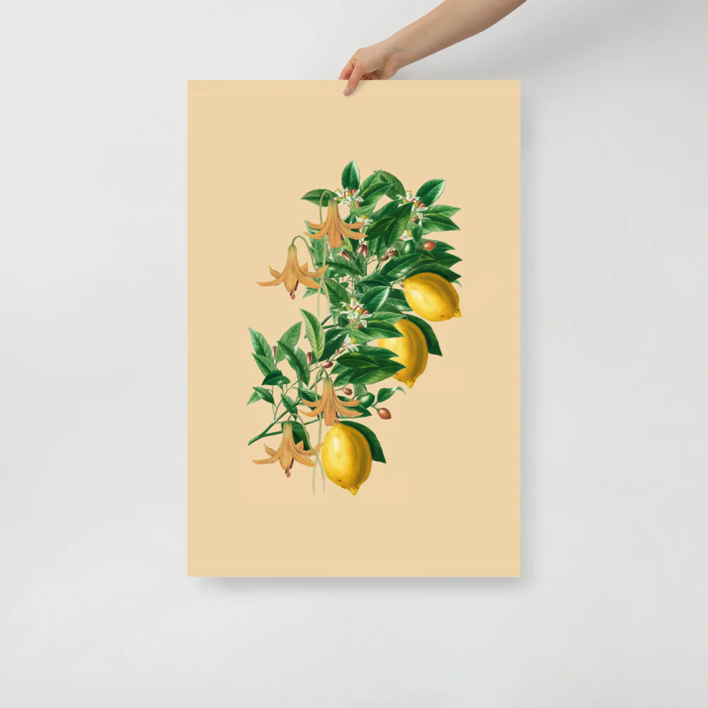 Lemon Farms In Italy - Image 7