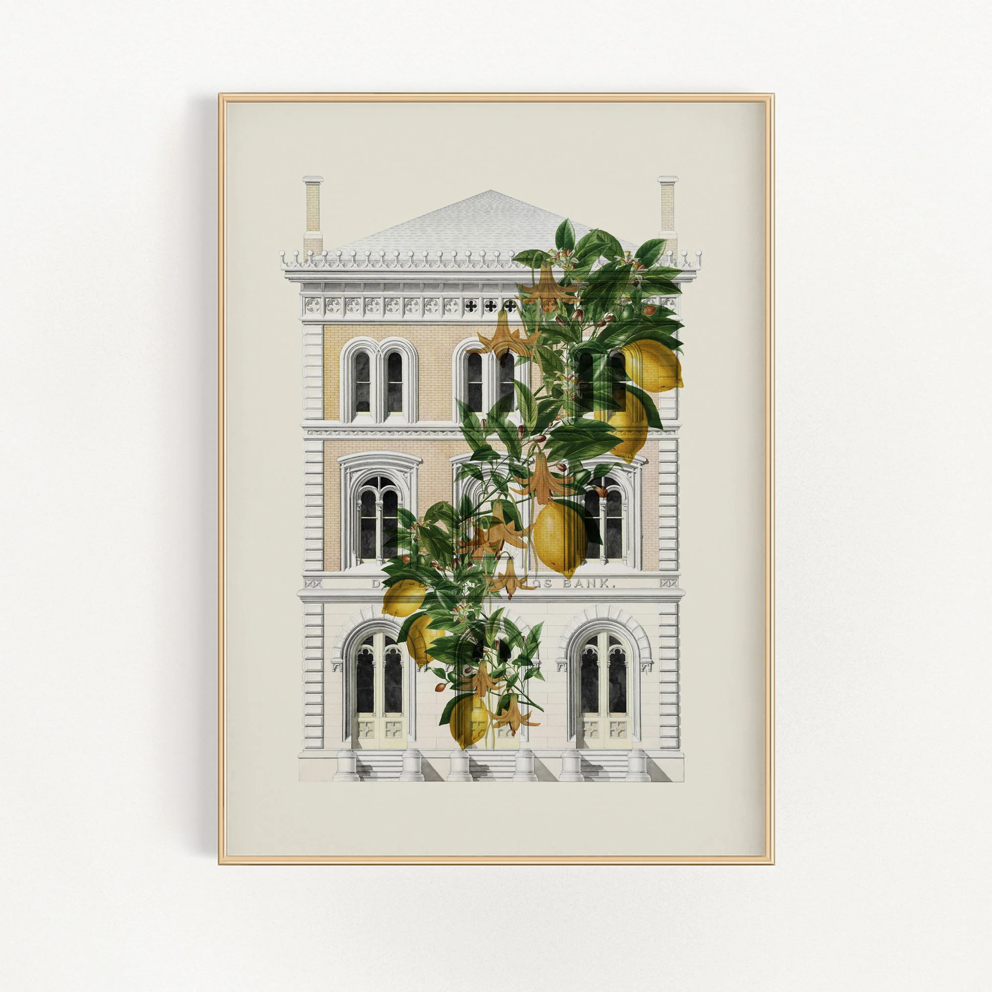 Lemony Hous of Bank