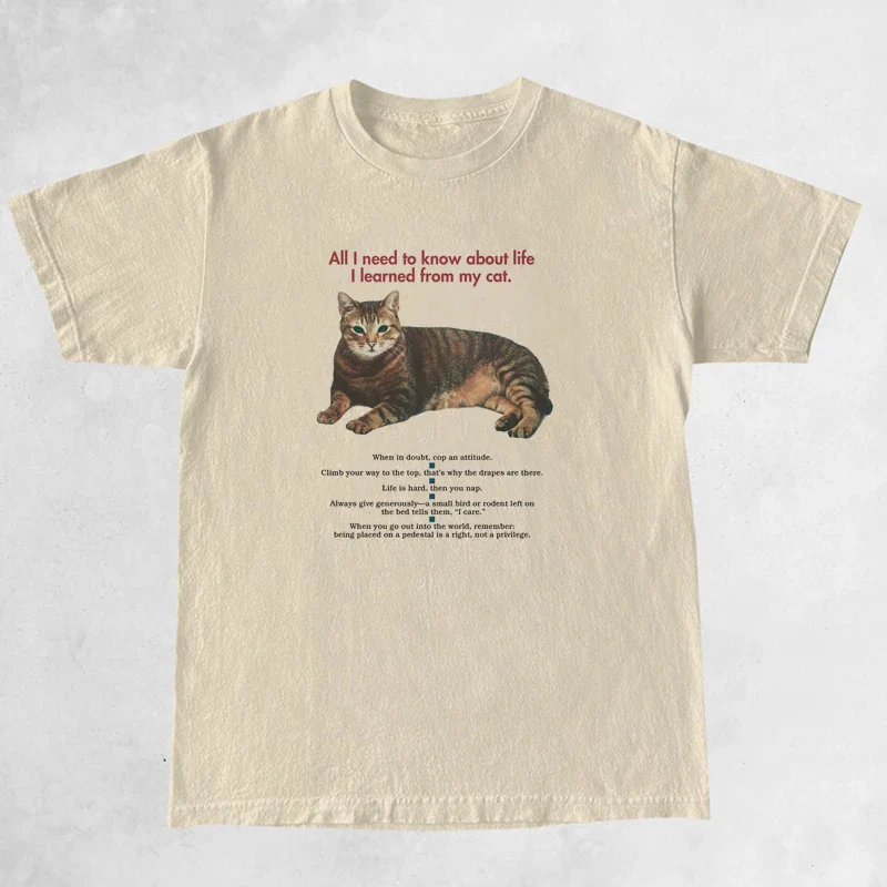 Lessons from Cat T-Shirts - Image 2