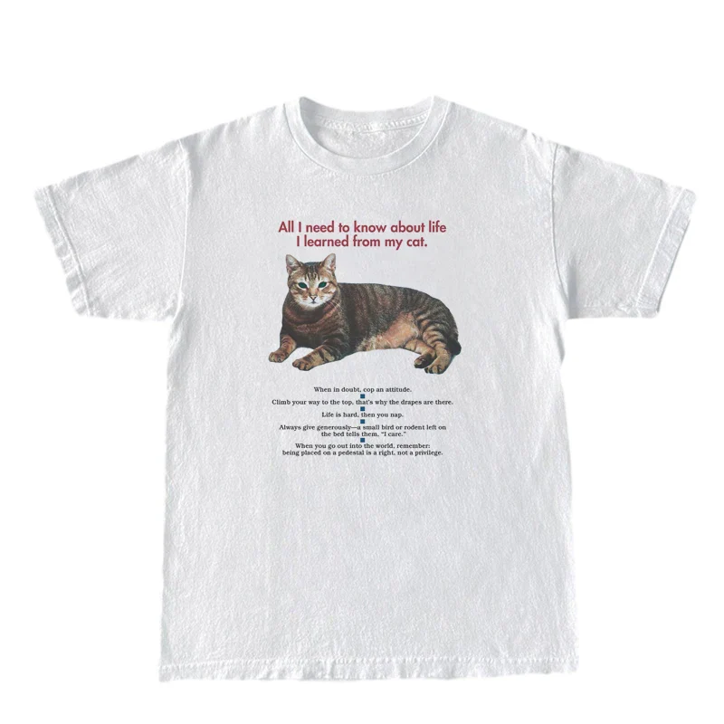 Lessons from Cat T-Shirts - Image 3