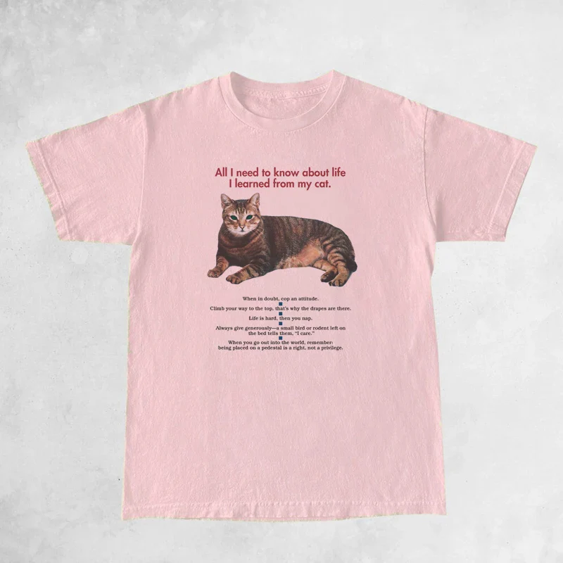 Lessons from Cat T-Shirts - Image 4