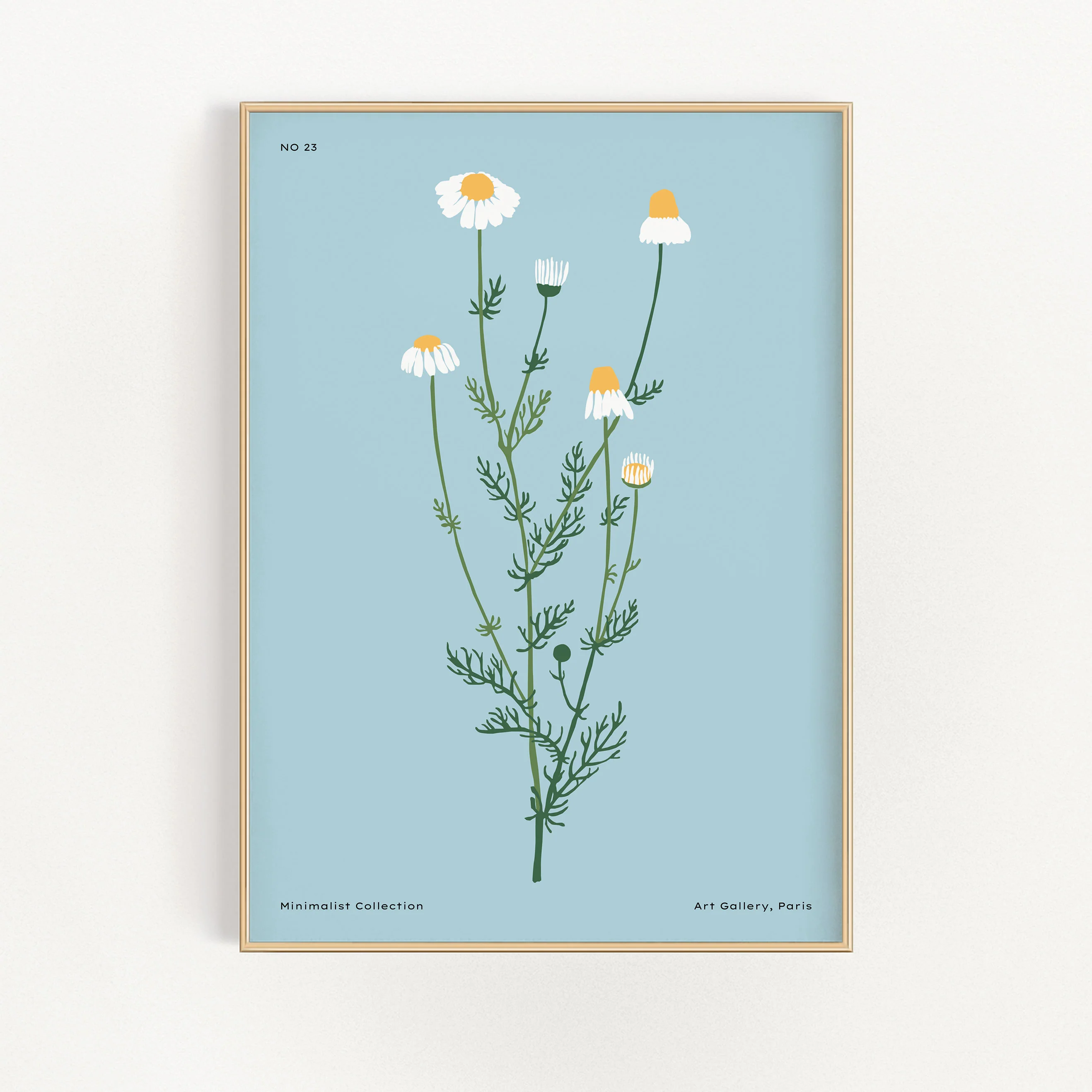 Minimalist Collection No. 23