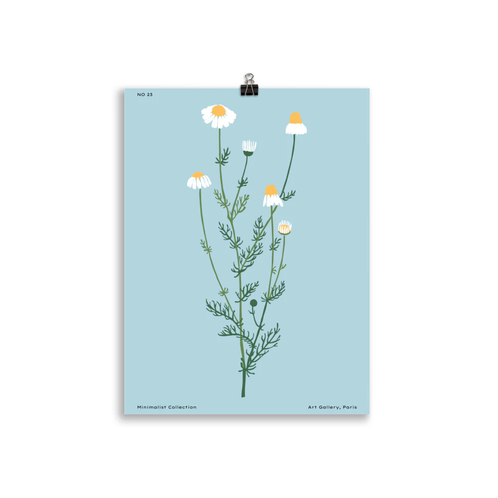 Minimalist Collection No. 23 - Image 3