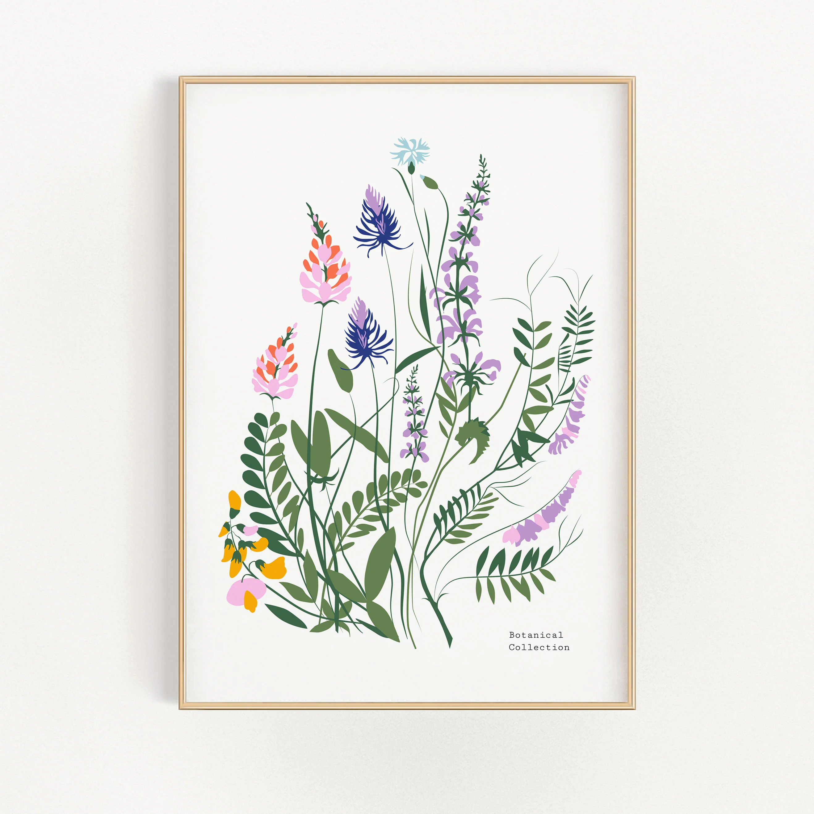 Mountain Flowers