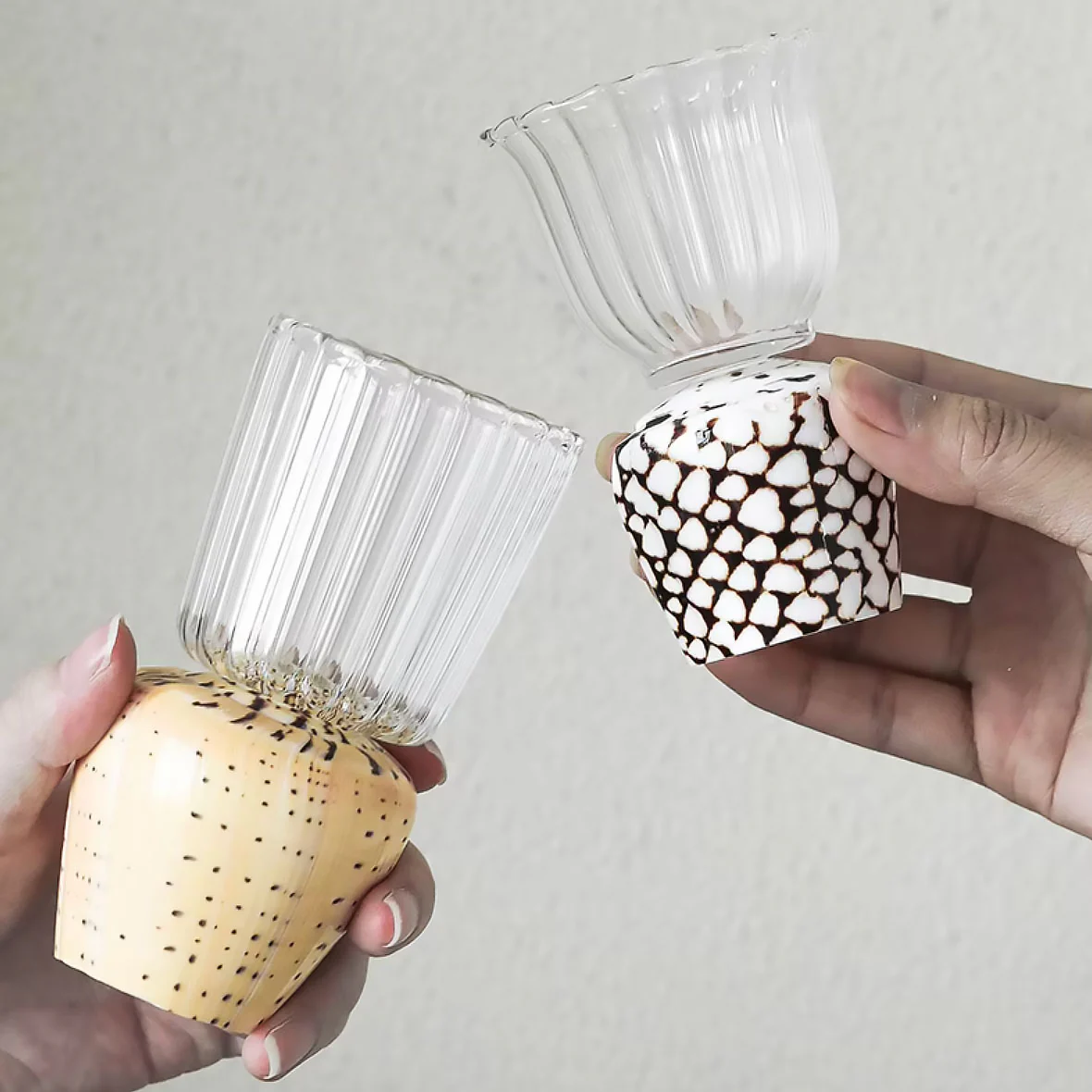 Natural Conch Shell Glass Cups - Image 6