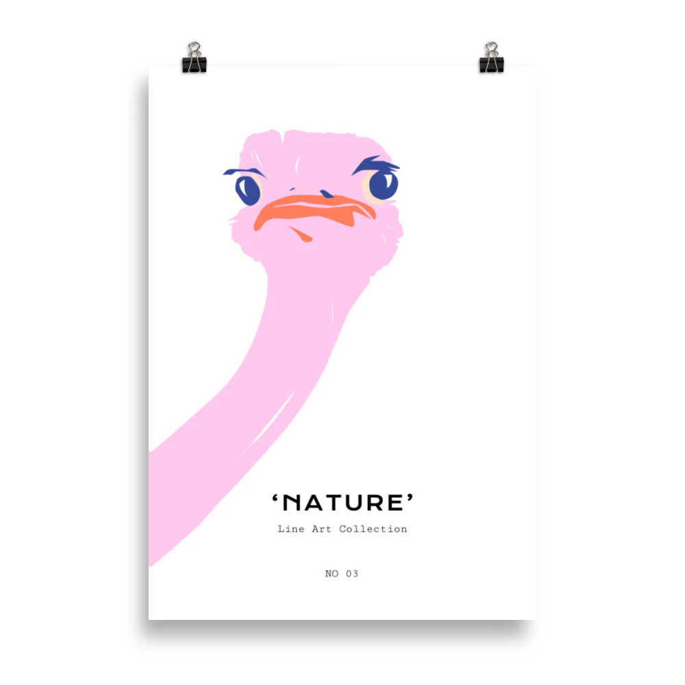 Nature Life - Ostrich - Image 6