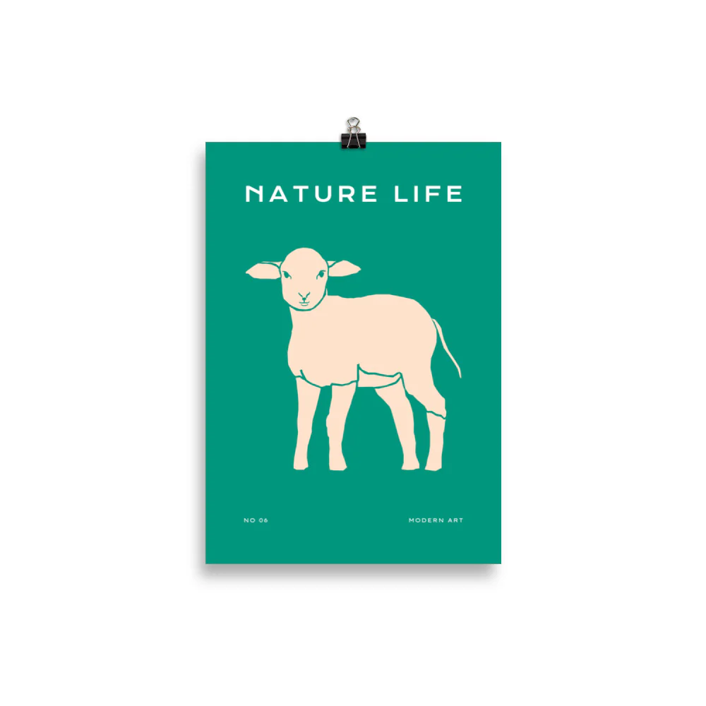 Nature Life - Sheep - Image 2