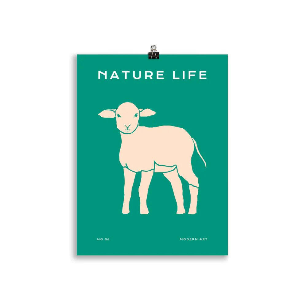 Nature Life - Sheep - Image 3