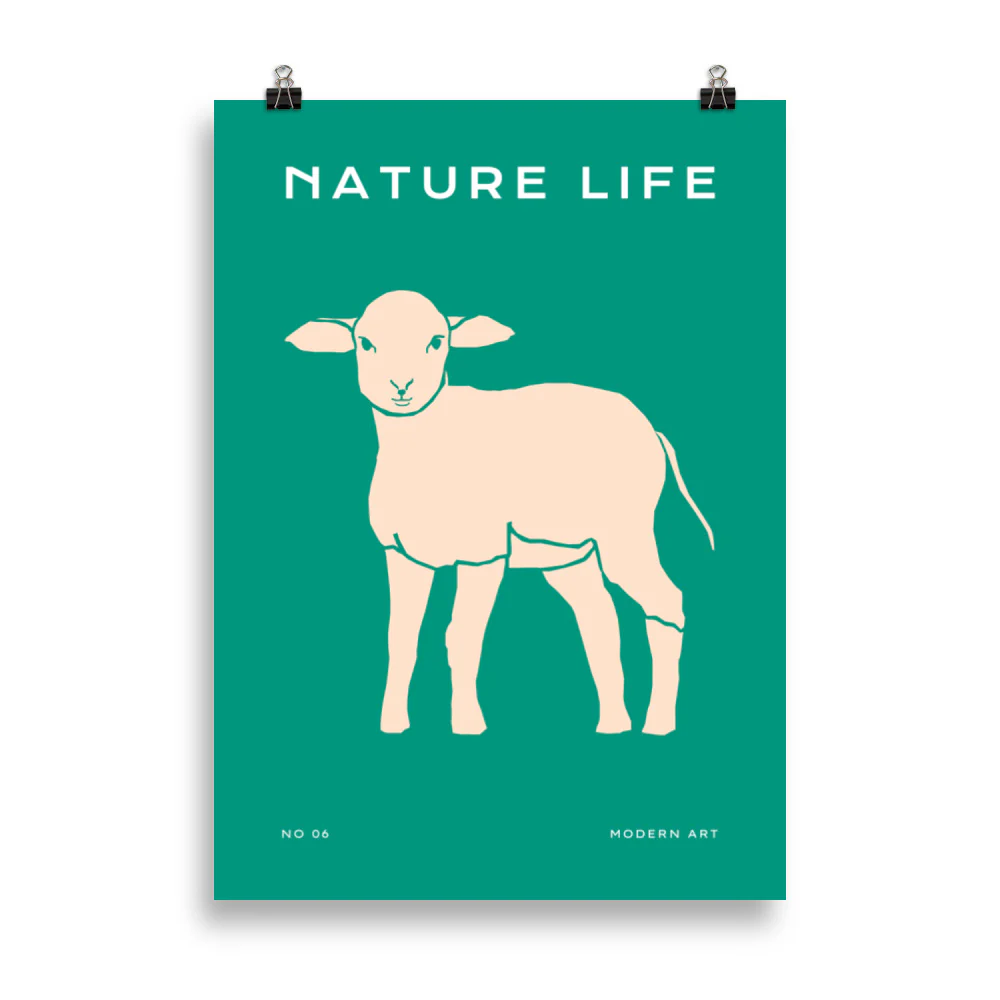 Nature Life - Sheep - Image 4