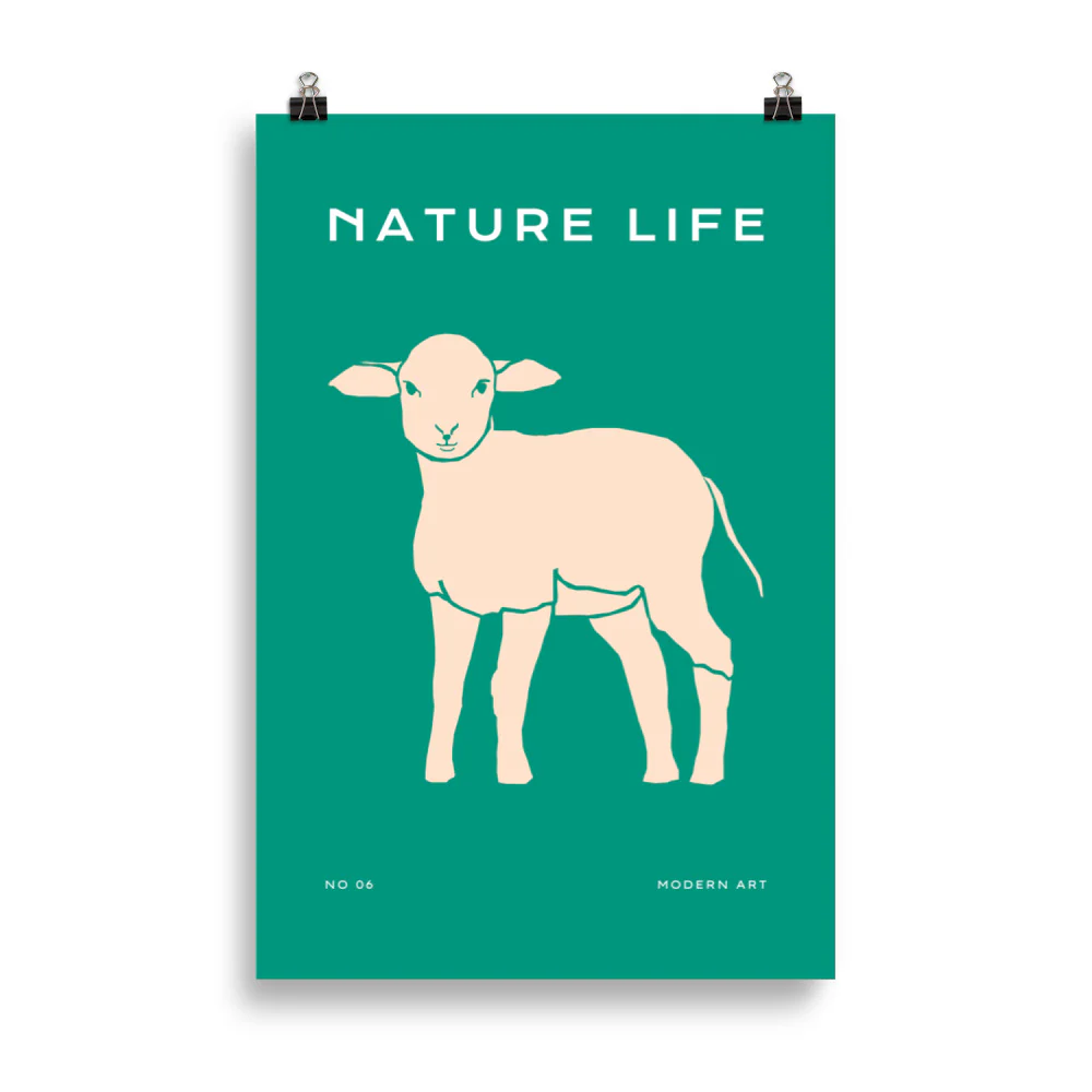 Nature Life - Sheep - Image 5
