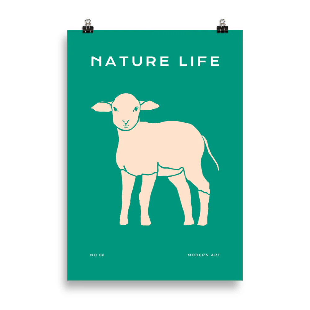 Nature Life - Sheep - Image 6