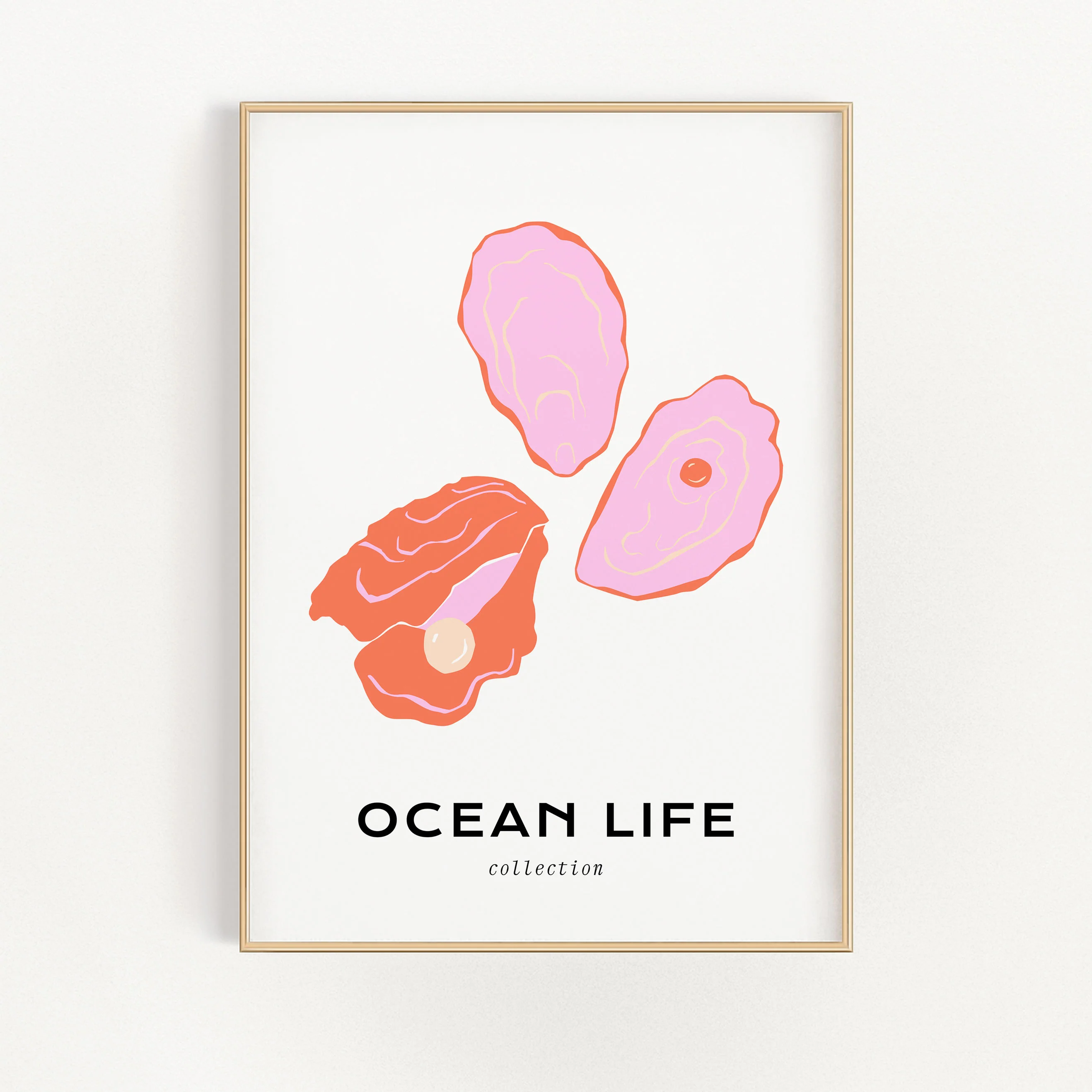 Ocean Life - Shell