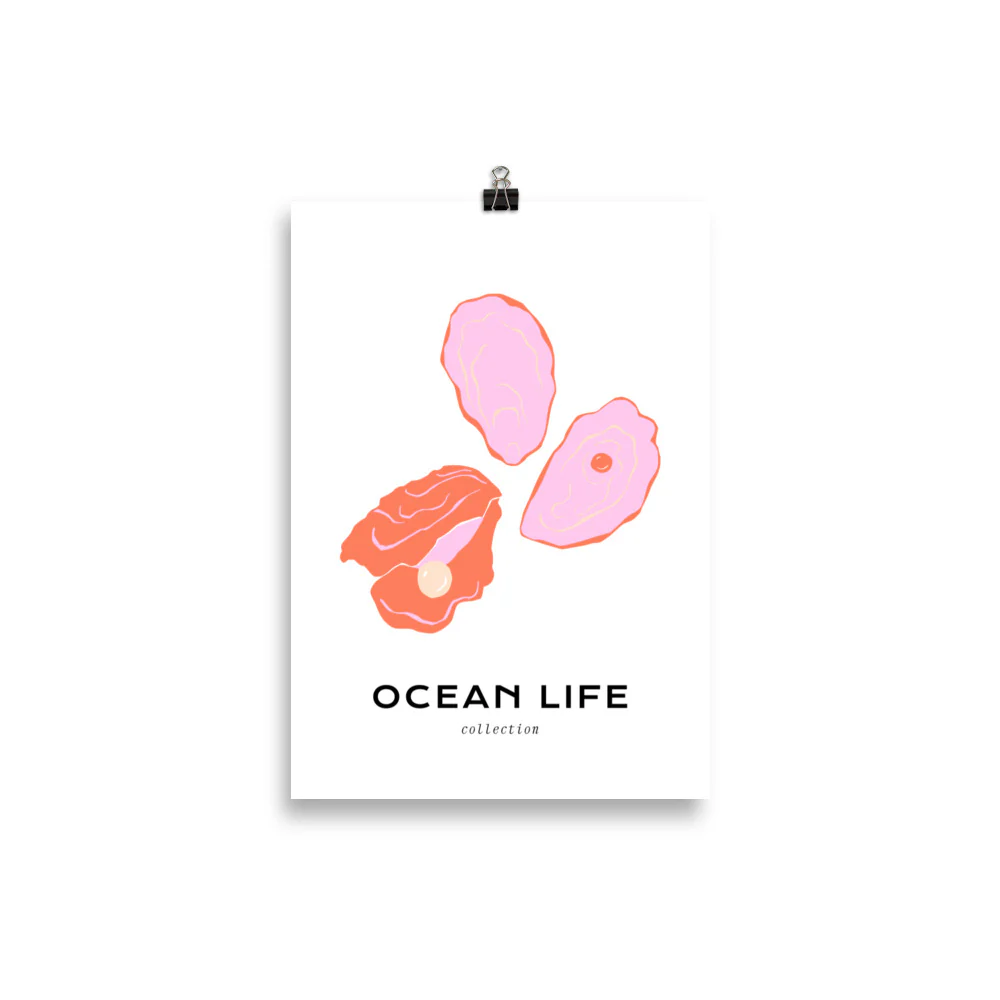 Ocean Life - Shell - Image 2