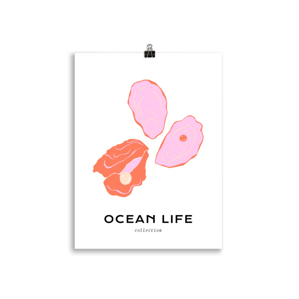 Ocean Life - Shell - Image 3