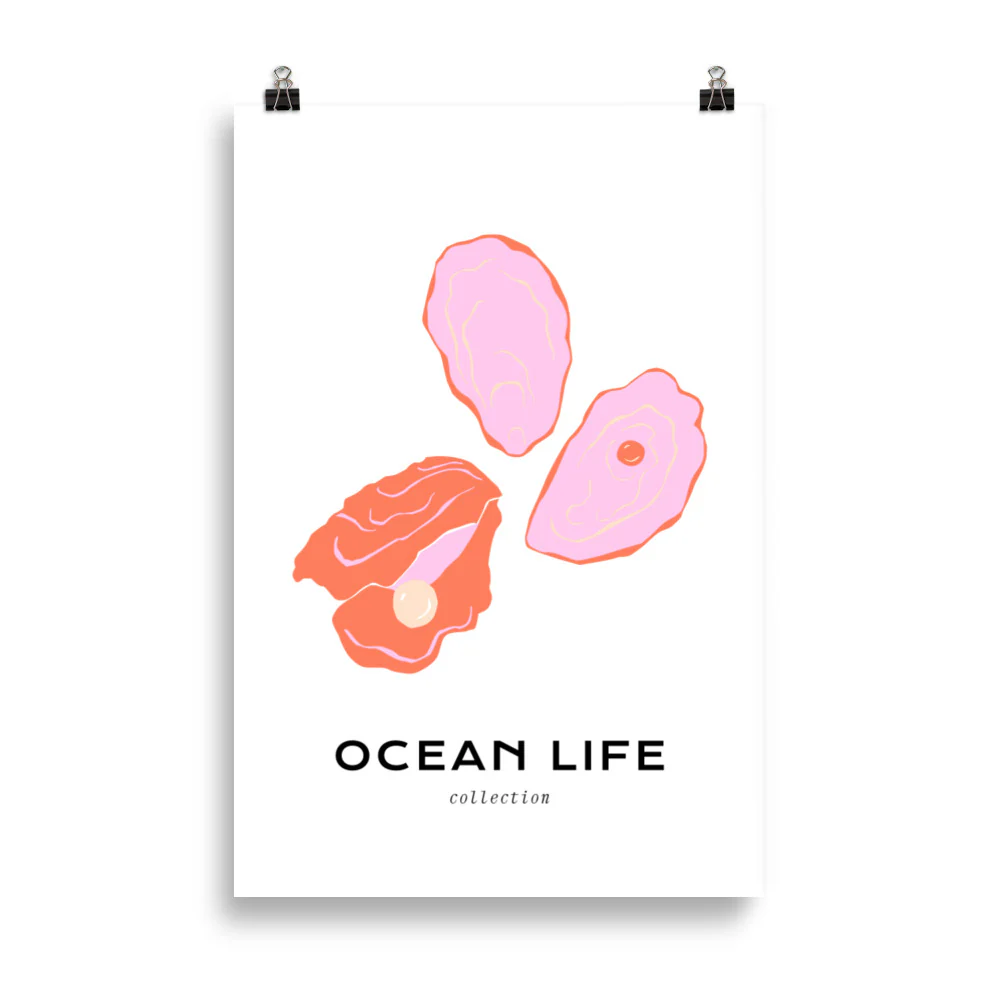Ocean Life - Shell - Image 5