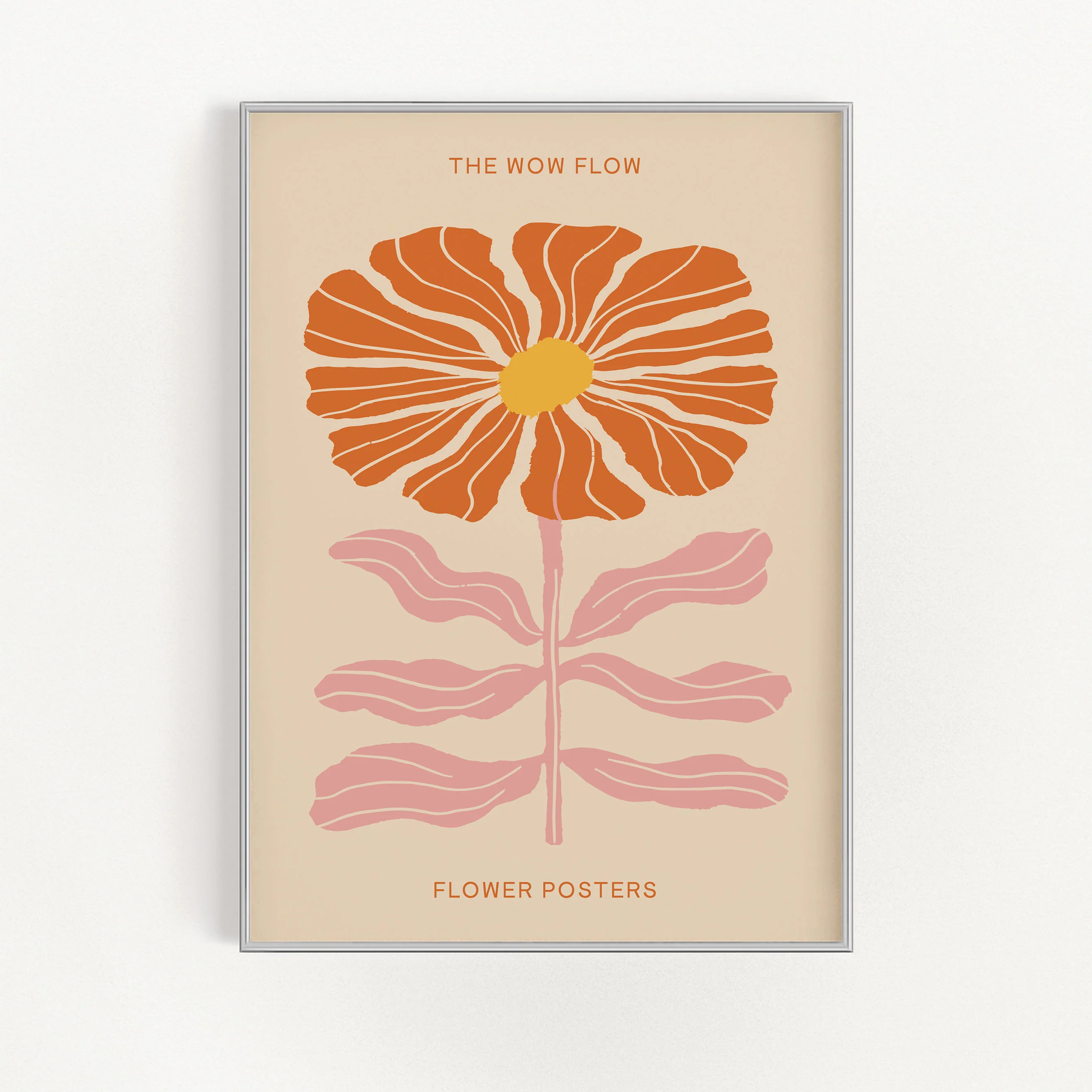 Orange Cosmos
