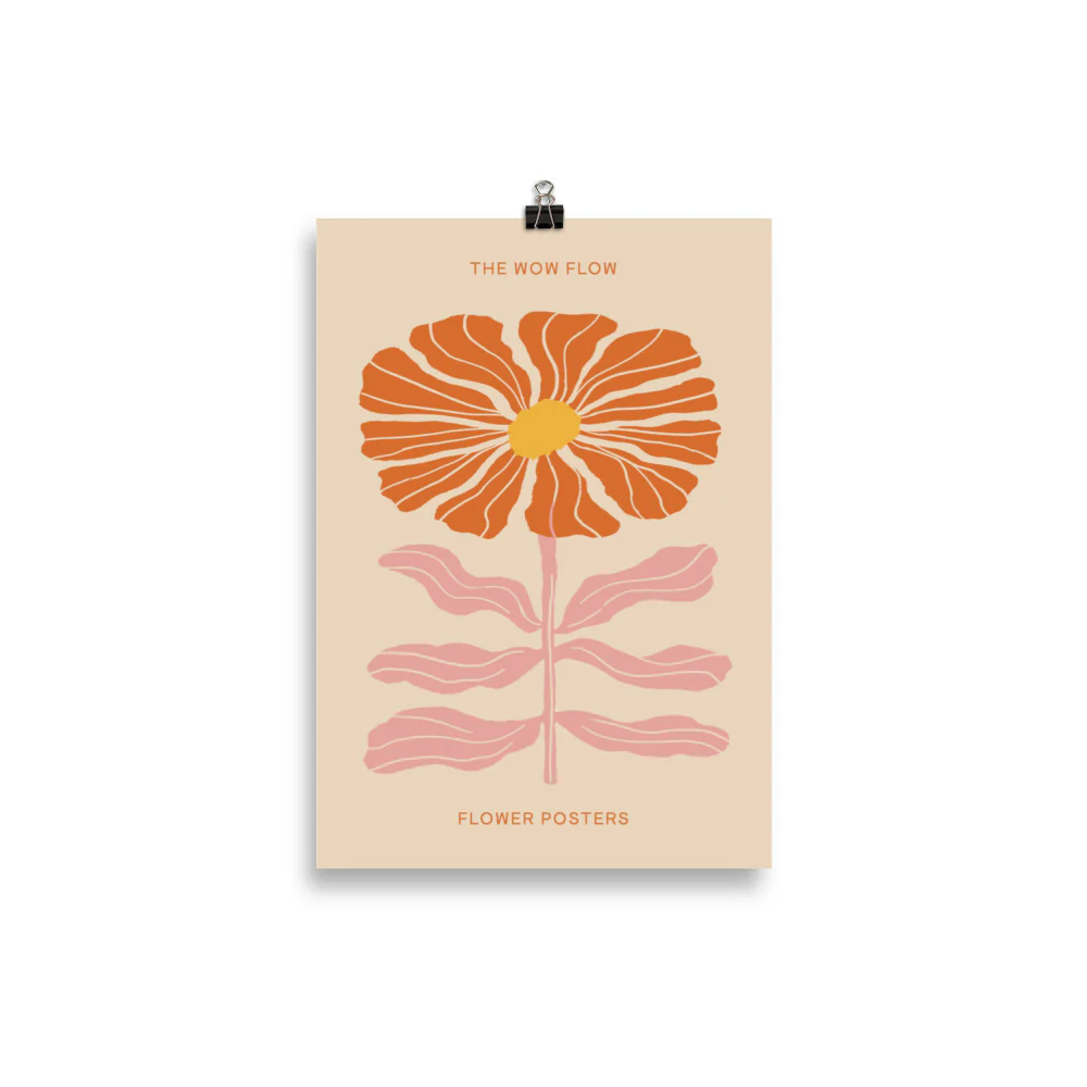 Orange Cosmos - Image 4