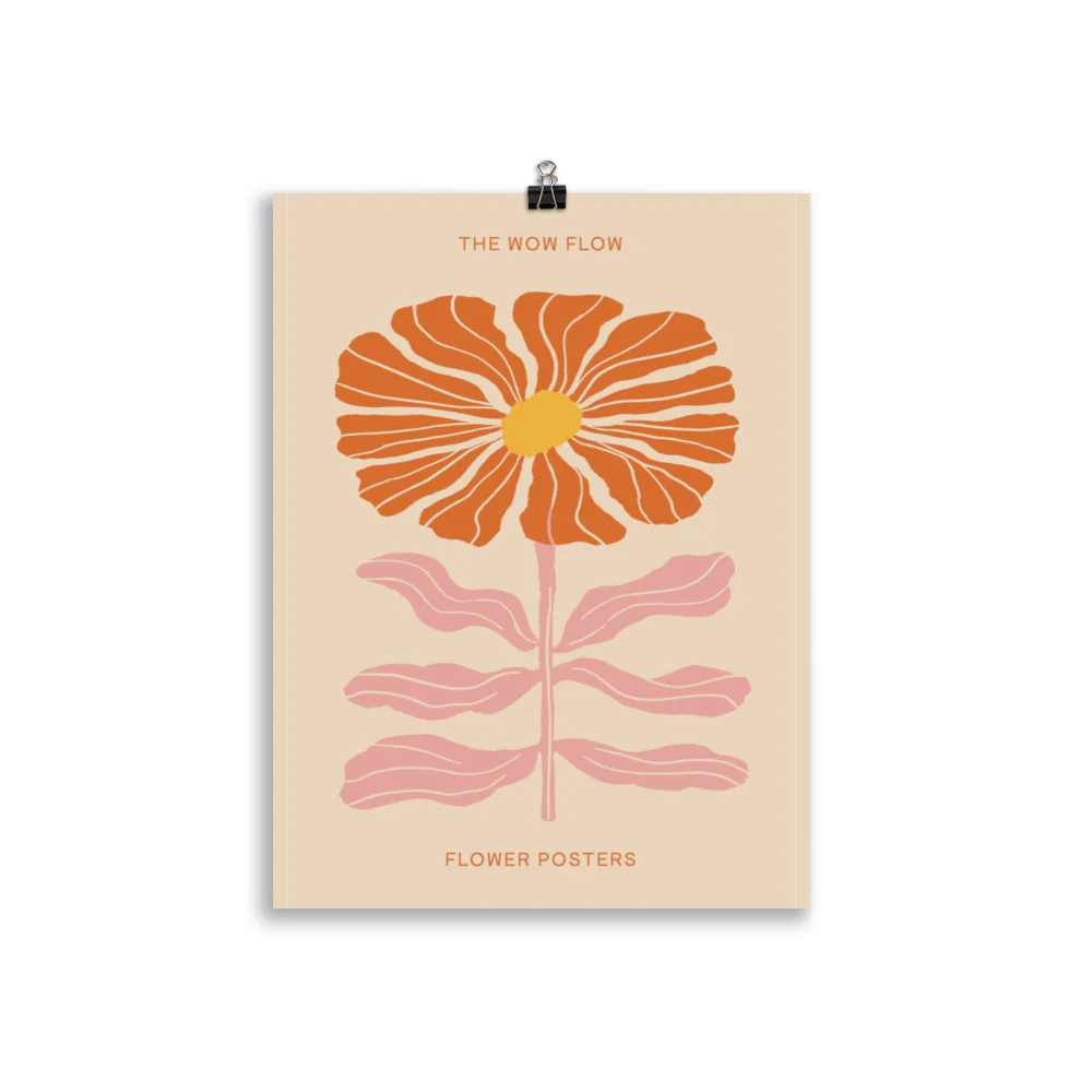 Orange Cosmos - Image 5