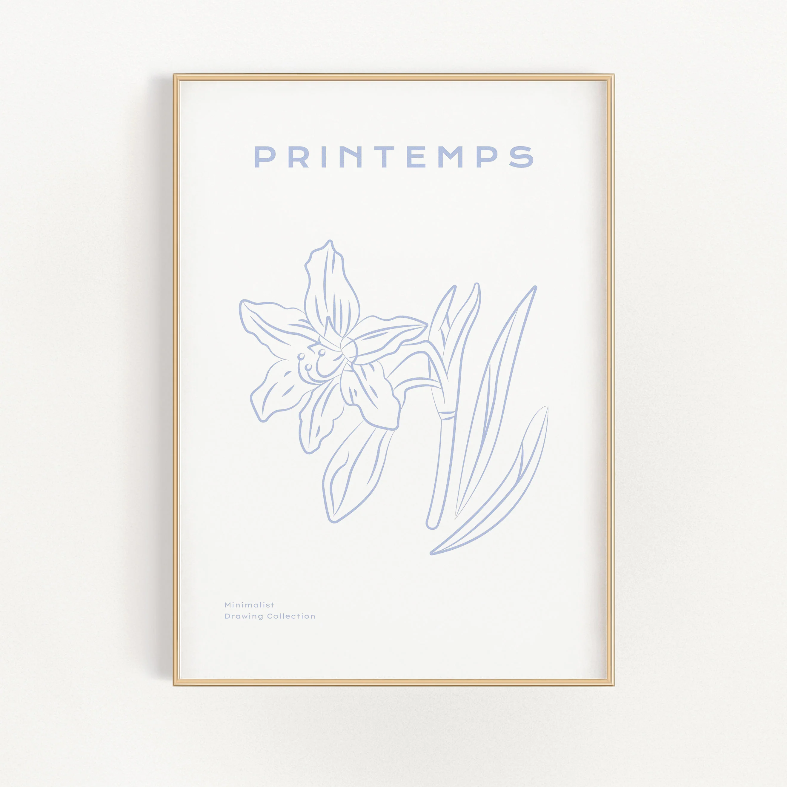 Printemps - Daffodil