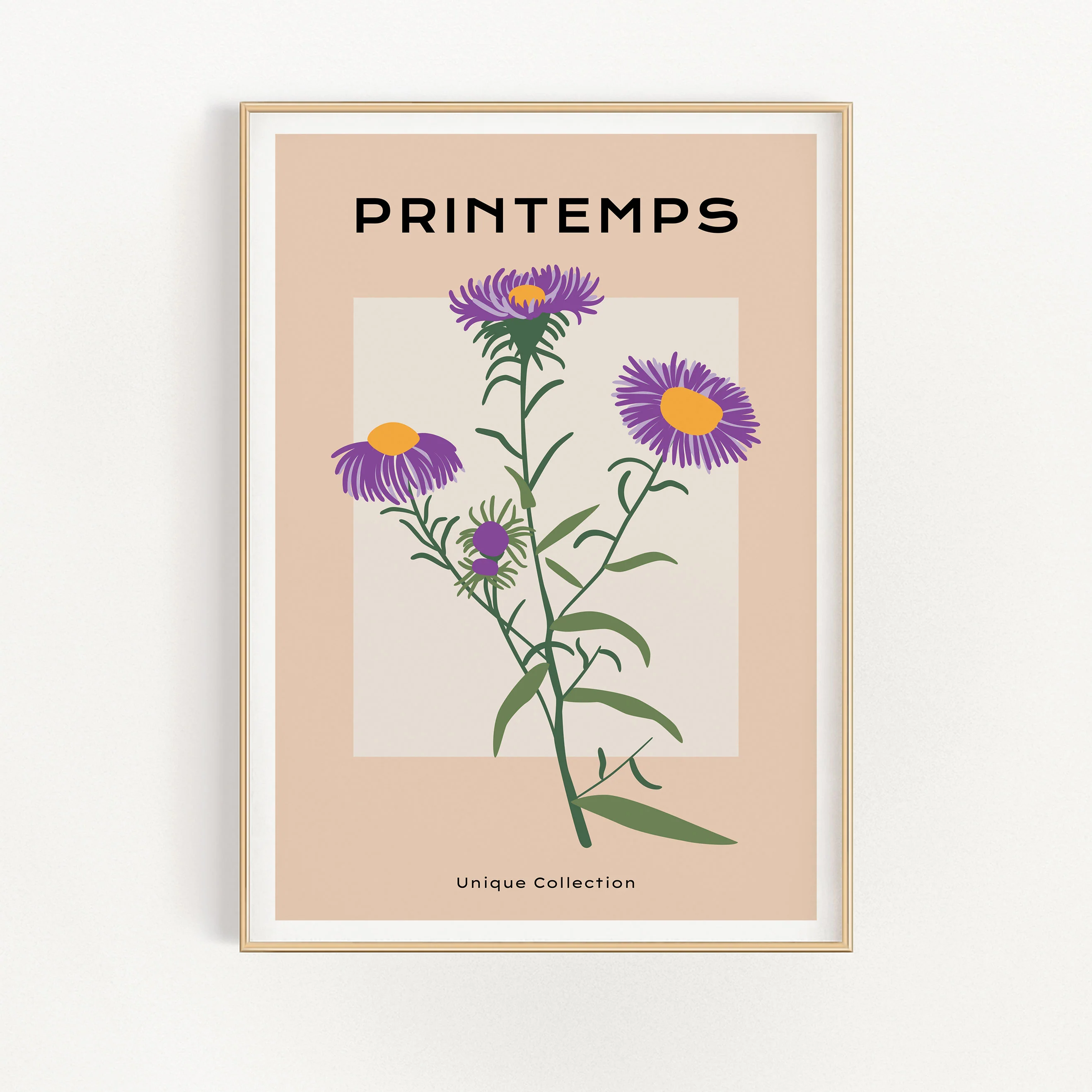 Printemps - Purple Dandelion