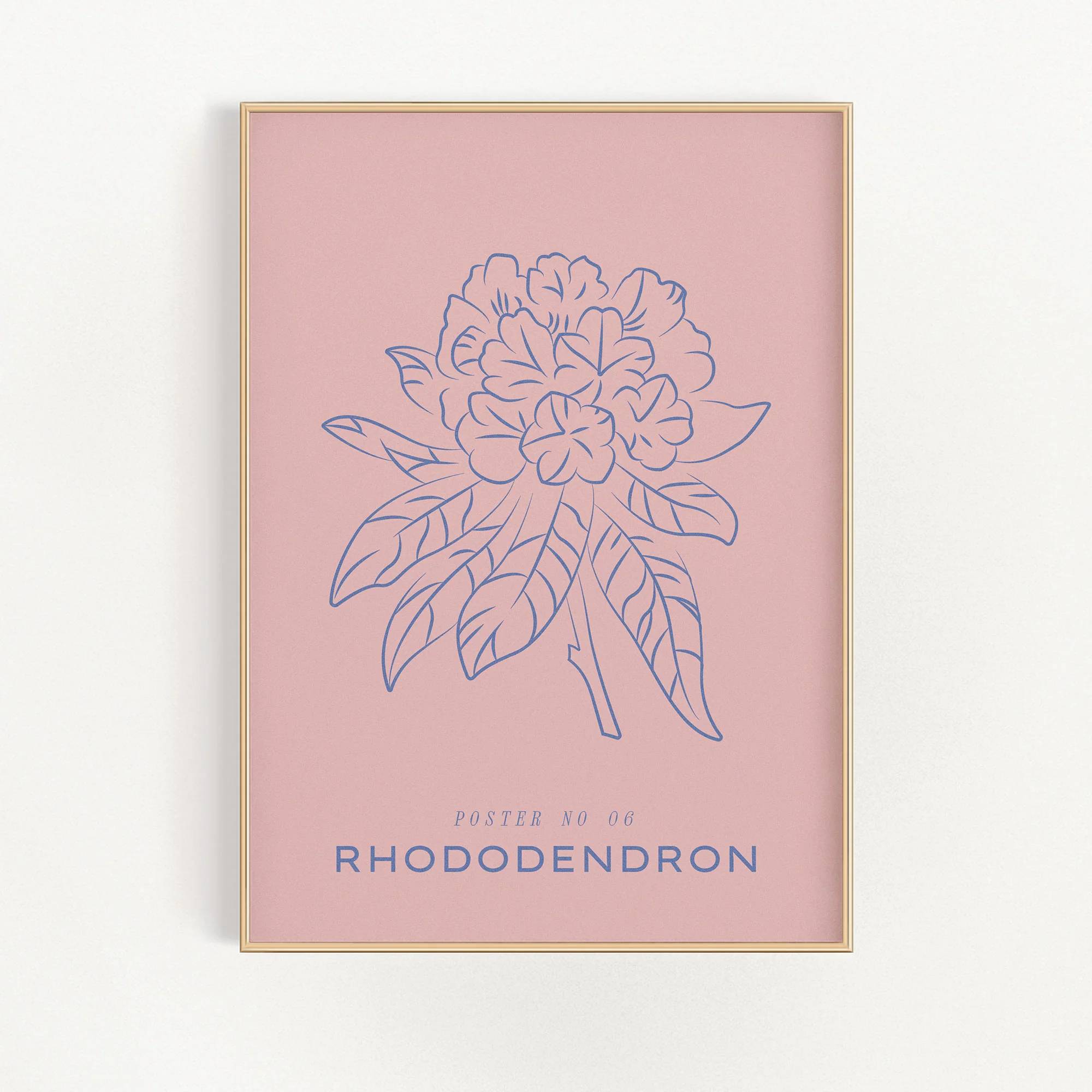 Rhododendron