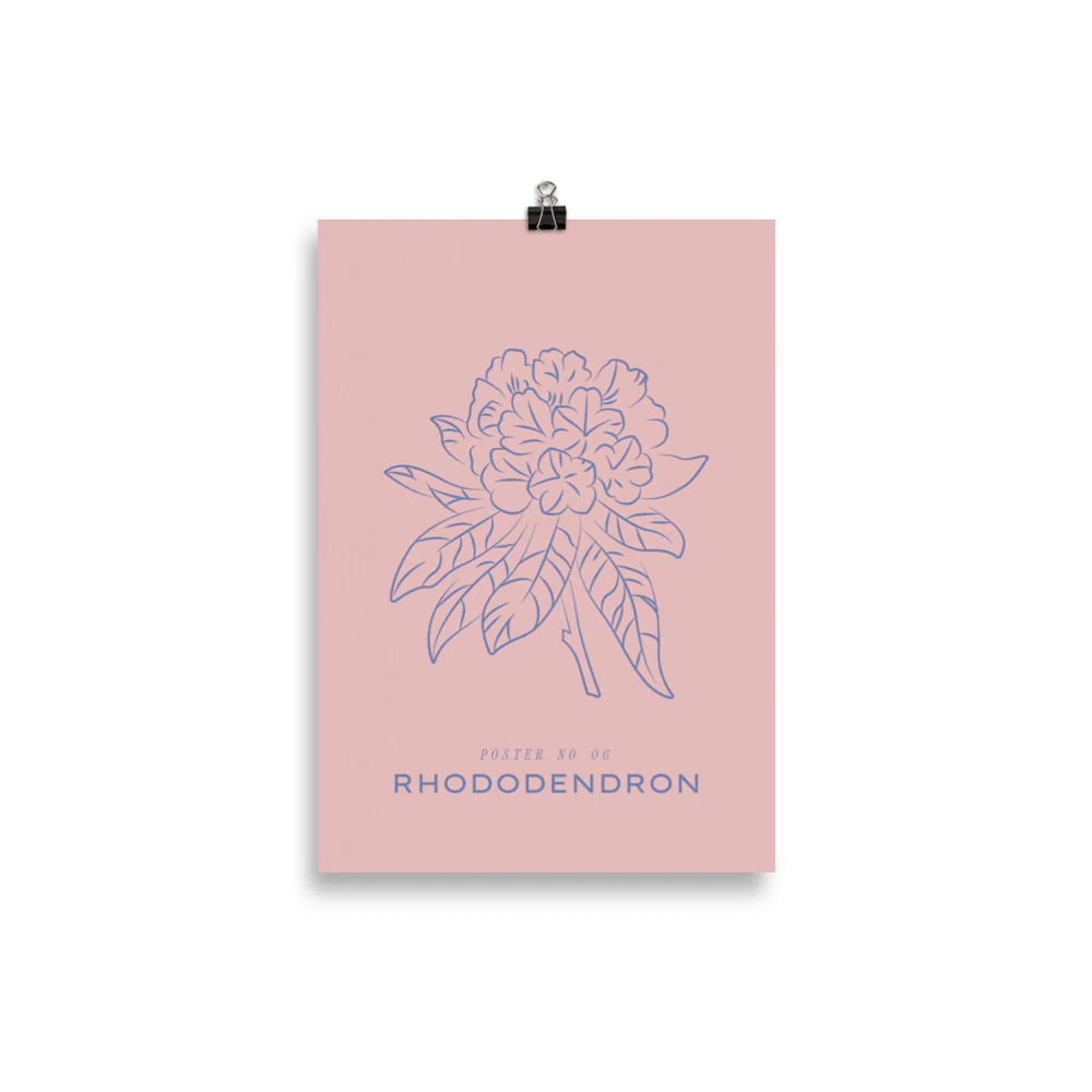 Rhododendron - Image 2
