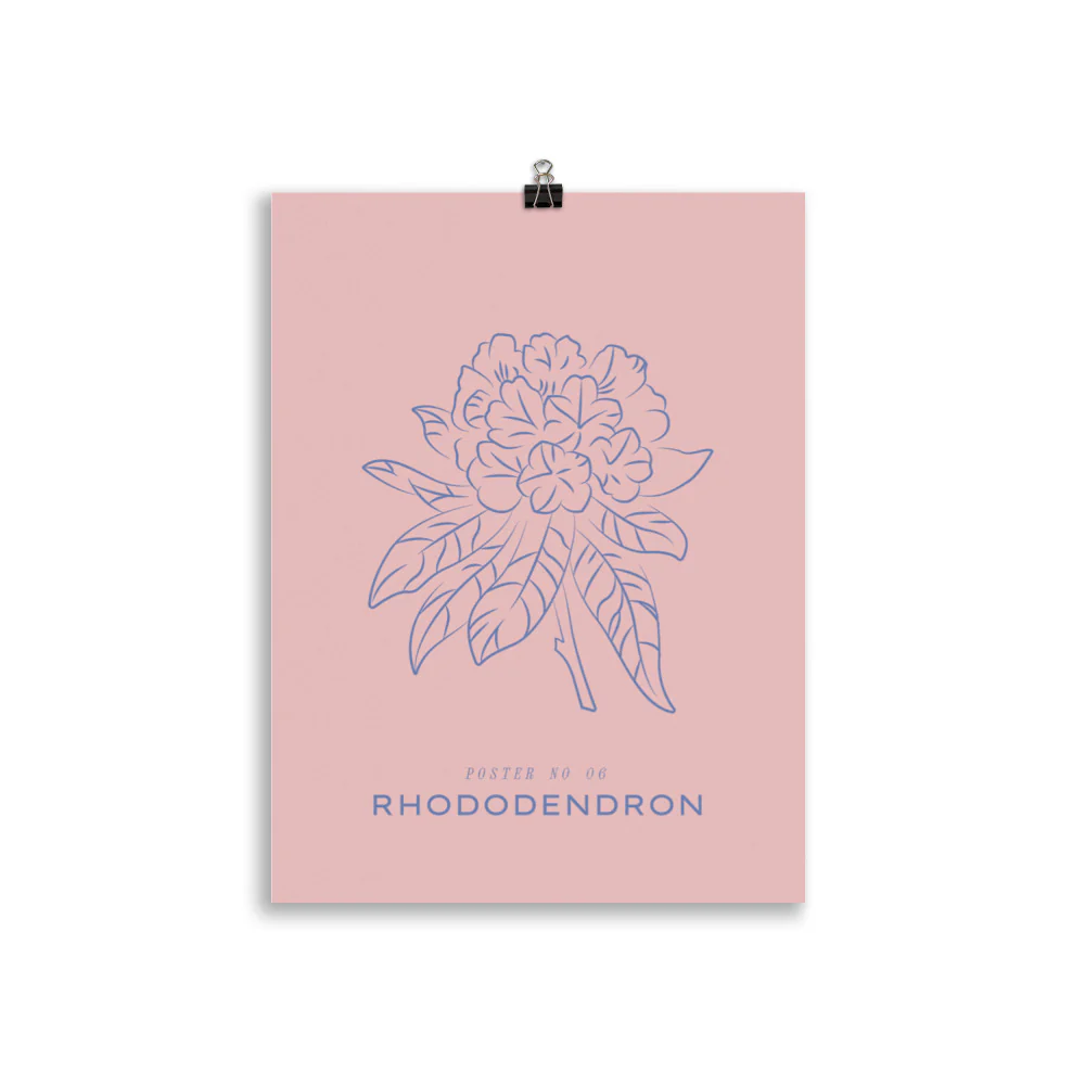Rhododendron - Image 3