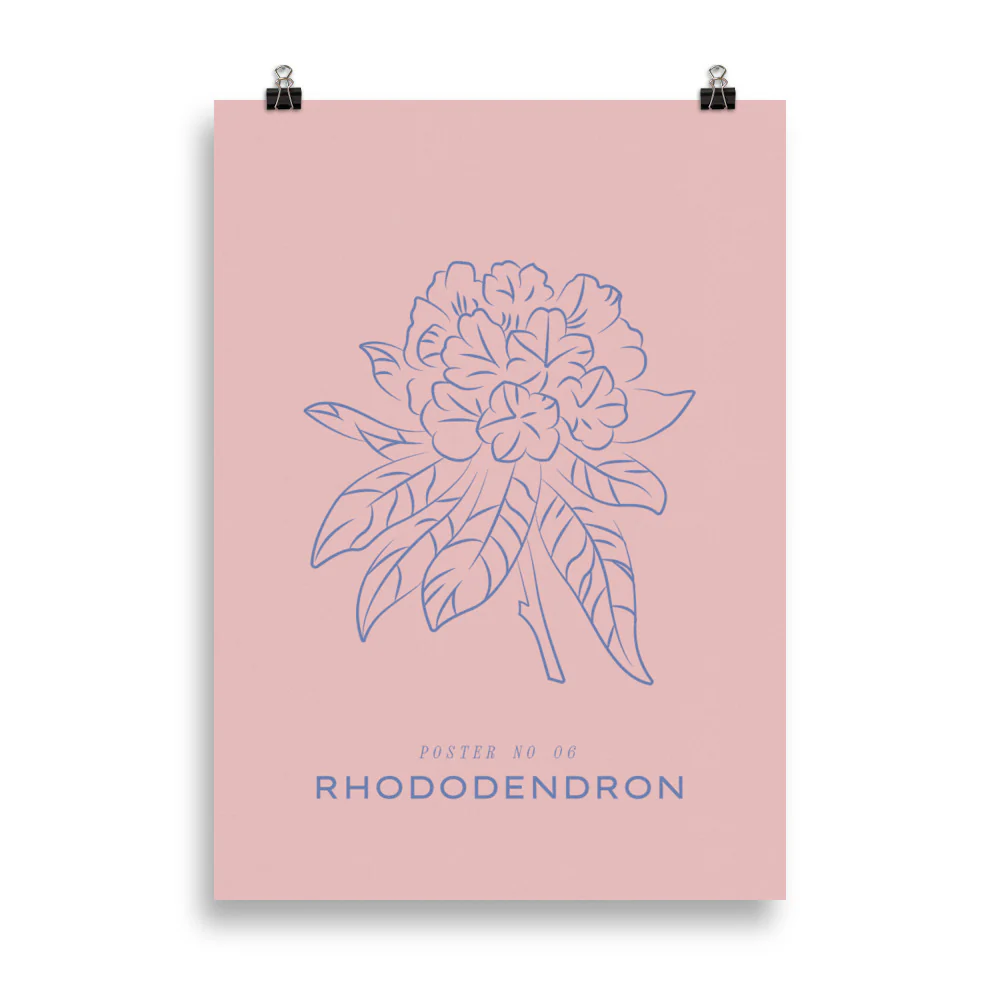 Rhododendron - Image 4